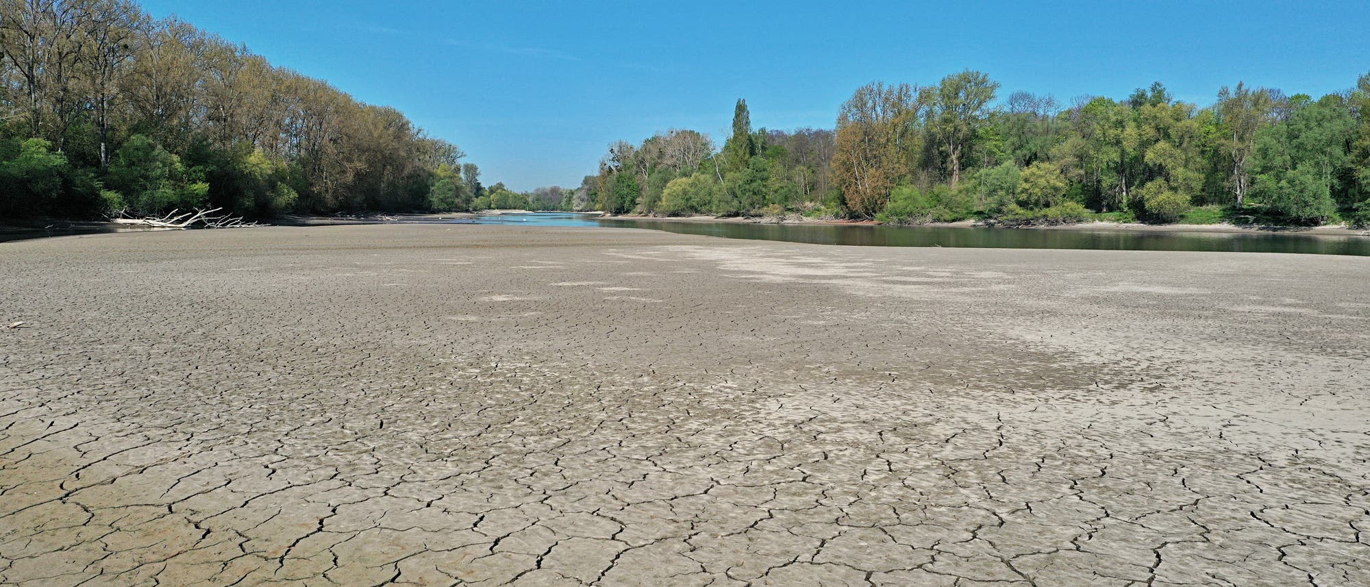 Eine ausgetrocknete Flusslandschaft mit rissigem Boden im Vordergrund, umgeben von Bäumen unter klarem blauem Himmel. Der Fluss führt nur noch wenig Wasser, was die Auswirkungen von Dürre und Wassermangel verdeutlicht. Eine ausgetrocknete Flusslandschaft mit rissigem Boden im Vordergrund, umgeben von Bäumen unter klarem blauem Himmel. Der Fluss führt nur noch wenig Wasser, was die Auswirkungen von Dürre und Wassermangel verdeutlicht.