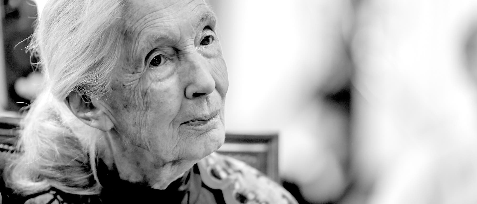 Jane Goodall sitzt in einem Raum und schaut nachdenklich zur Seite. Der Hintergrund ist unscharf, was die Aufmerksamkeit auf die Person lenkt. Die Szene wirkt ruhig und konzentriert.