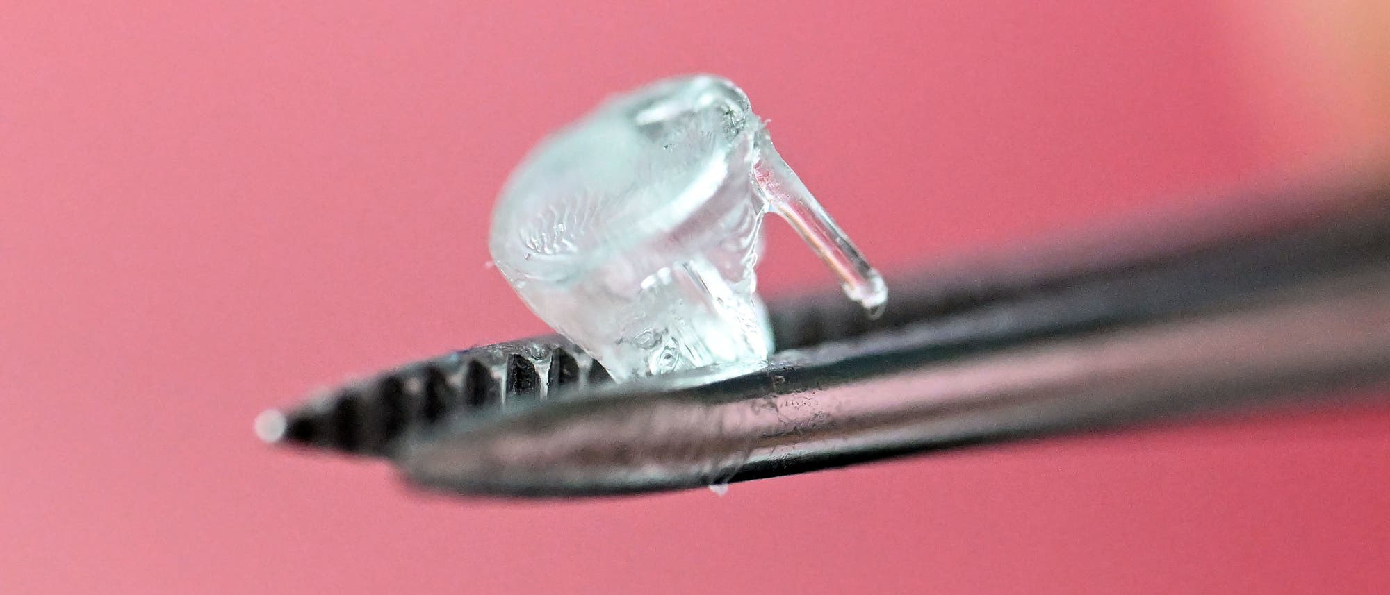 Eine Nahaufnahme zeigt eine durchsichtige, tropfenf&ouml;rmige Substanz, die von einer metallischen Pinzette gehalten wird. Der Hintergrund ist unscharf und rosa.
