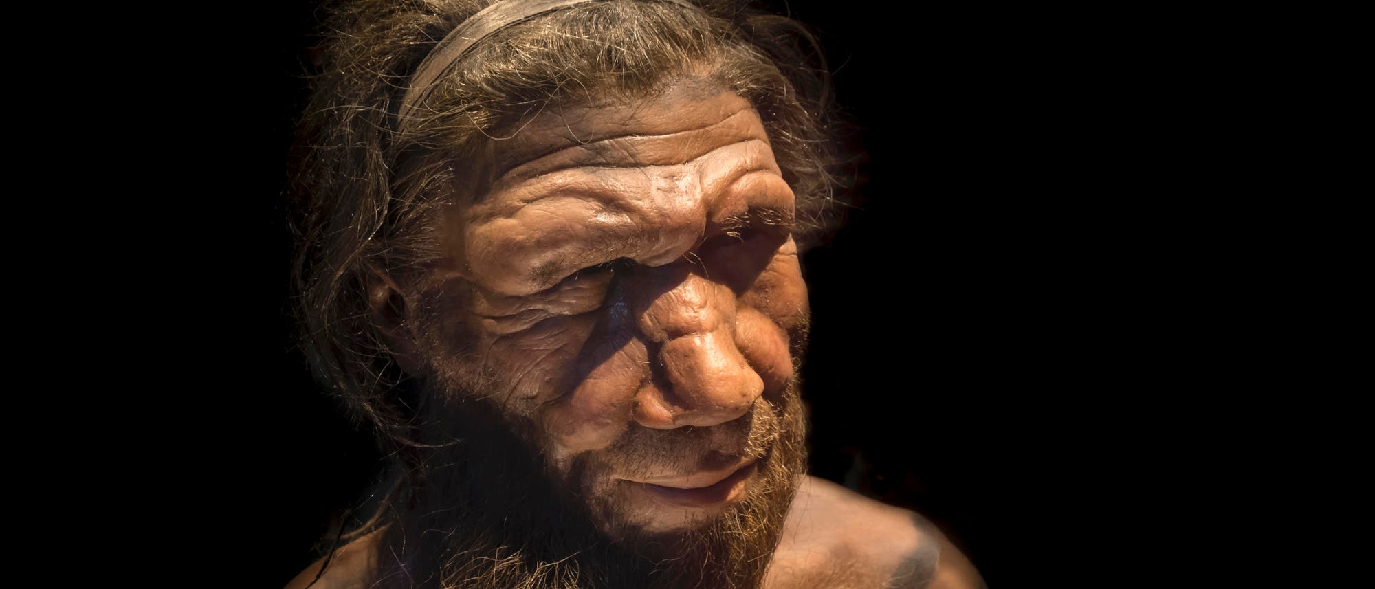 Eine realistische Darstellung eines prähistorischen Menschen mit einem dunklen Hintergrund. Die Figur hat ein markantes Gesicht mit einem Bart und trägt ein Stirnband. Der Ausdruck wirkt nachdenklich. 