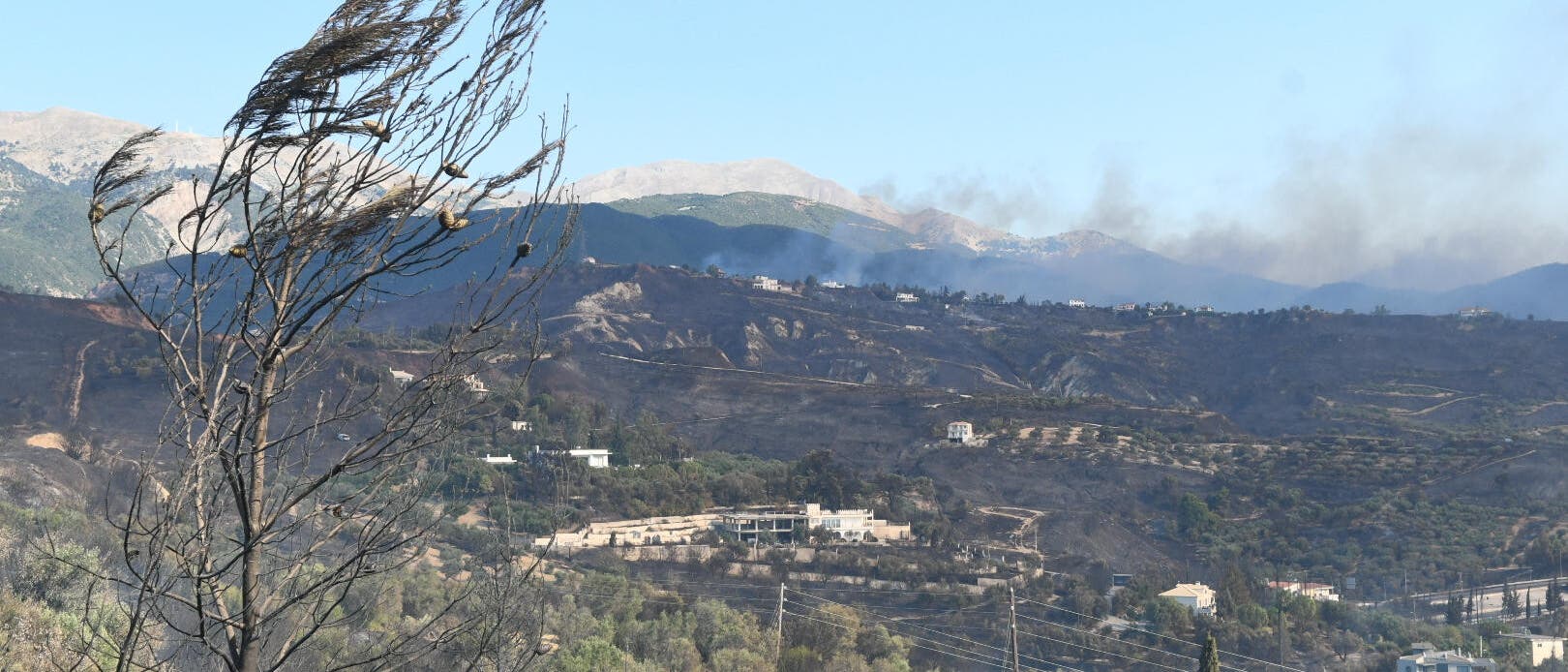 Eine Landschaft mit Hügeln und vereinzelten Häusern, die von einem kürzlich stattgefundenen Brand betroffen sind. Im Vordergrund steht ein verkohlter Baum, während im Hintergrund Rauch über den Hügeln aufsteigt. Ein Feuerwehrfahrzeug ist auf einer Straße zu sehen, umgeben von verbrannter Vegetation. Der Himmel ist klar und blau.
