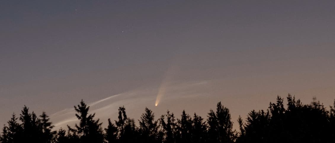 Ein Komet mit einem leuchtenden Schweif zieht &uuml;ber einen n&auml;chtlichen Himmel, der von Sternen gesprenkelt ist. Im Vordergrund sind die Silhouetten von B&auml;umen zu sehen. Der Himmel zeigt einen sanften &Uuml;bergang von dunklem Blau zu einem helleren Farbton nahe dem Horizont.