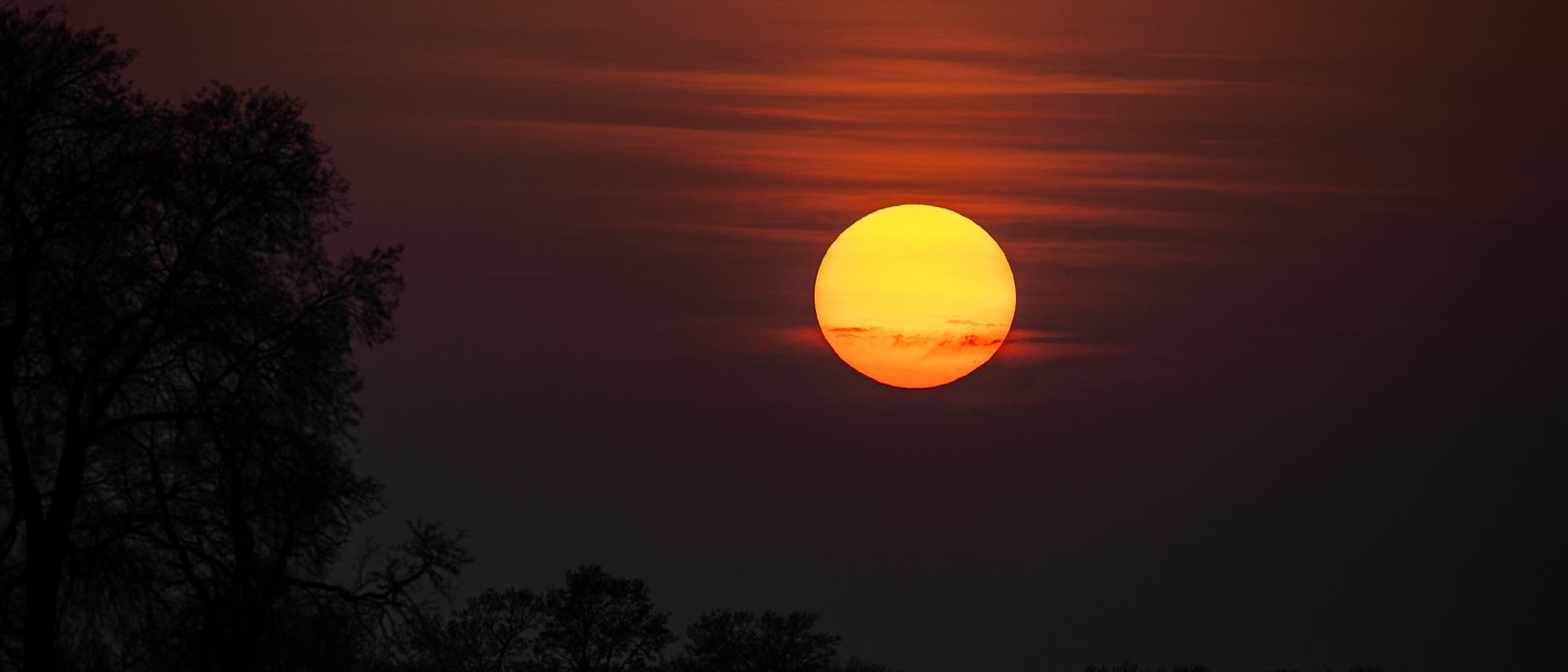 Eine gro&szlig;e, orangefarbene Sonne geht am Horizont unter, umgeben von einem dunkelroten Himmel. Silhouetten von B&auml;umen sind links im Bild sichtbar, was eine ruhige und friedliche Abendstimmung erzeugt.