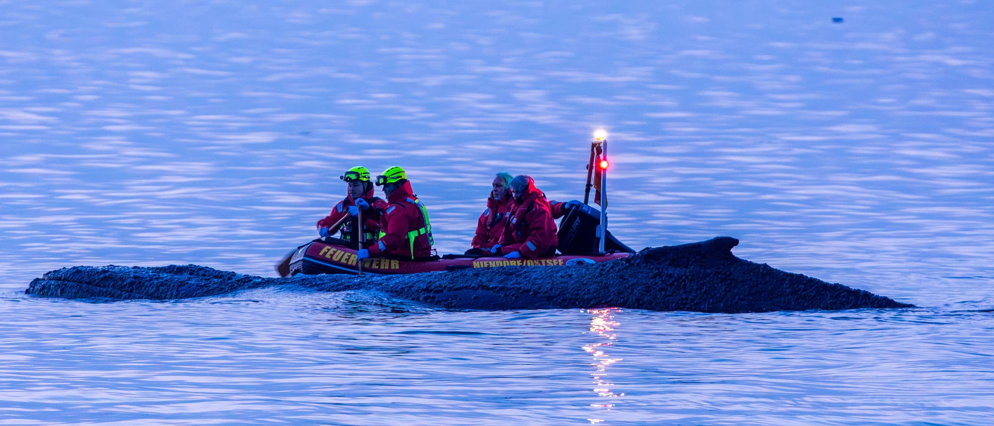Ein Rettungsboot der Feuerwehr mit mehreren Personen in roten Anz&uuml;gen und gelben Helmen in der N&auml;he des gestrandeten Wals in der Ostsee bei Niendorf.