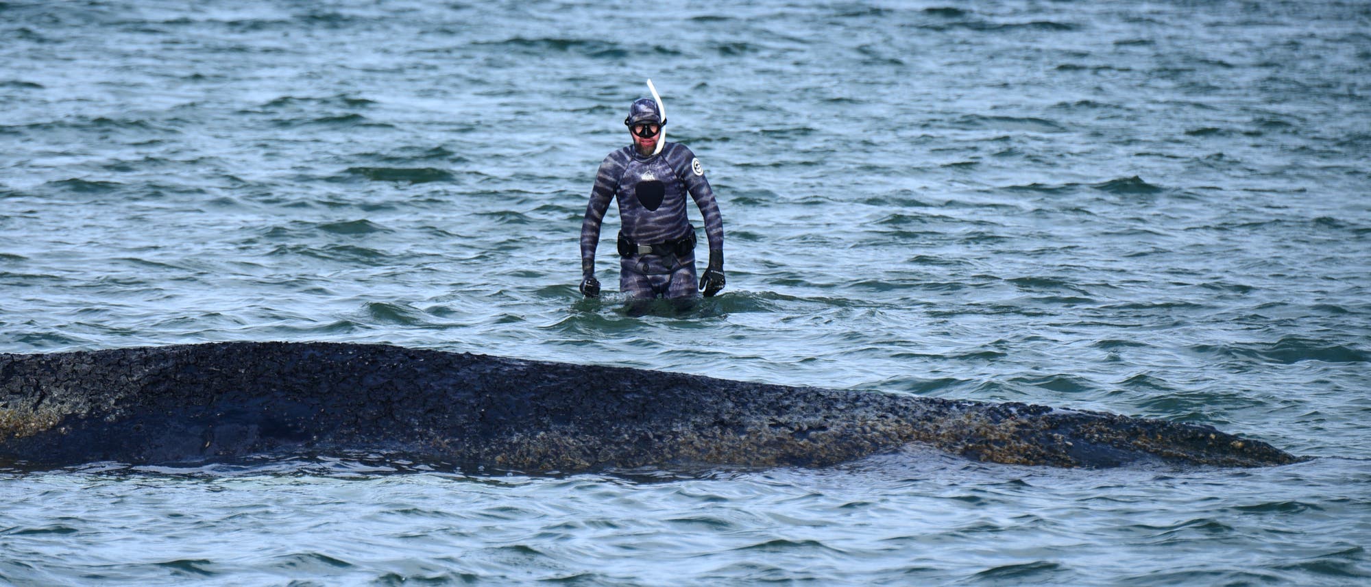 Eine Person in einem Tarnanzug steht im Wasser, umgeben von einer ruhigen Meeresoberfl&auml;che. Im Vordergrund ist ein gro&szlig;er, dunkler Felsen oder ein Meereslebewesen teilweise sichtbar. Die Person tr&auml;gt eine Taucherbrille und einen Schnorchel. Die Szene vermittelt ein Gef&uuml;hl von Ruhe und Erkundung in einer nat&uuml;rlichen Umgebung.
