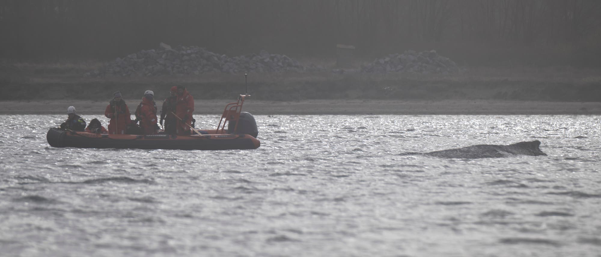 Ein Rettungsboot mit mehreren Personen in Schutzanz&uuml;gen f&auml;hrt auf einem Fluss. Im Wasser ist ein gro&szlig;es Tier zu sehen, das teilweise aus dem Wasser ragt. Im Hintergrund ist das Ufer mit B&auml;umen und Steinhaufen erkennbar. Die Szene wirkt neblig und das Licht ist ged&auml;mpft.