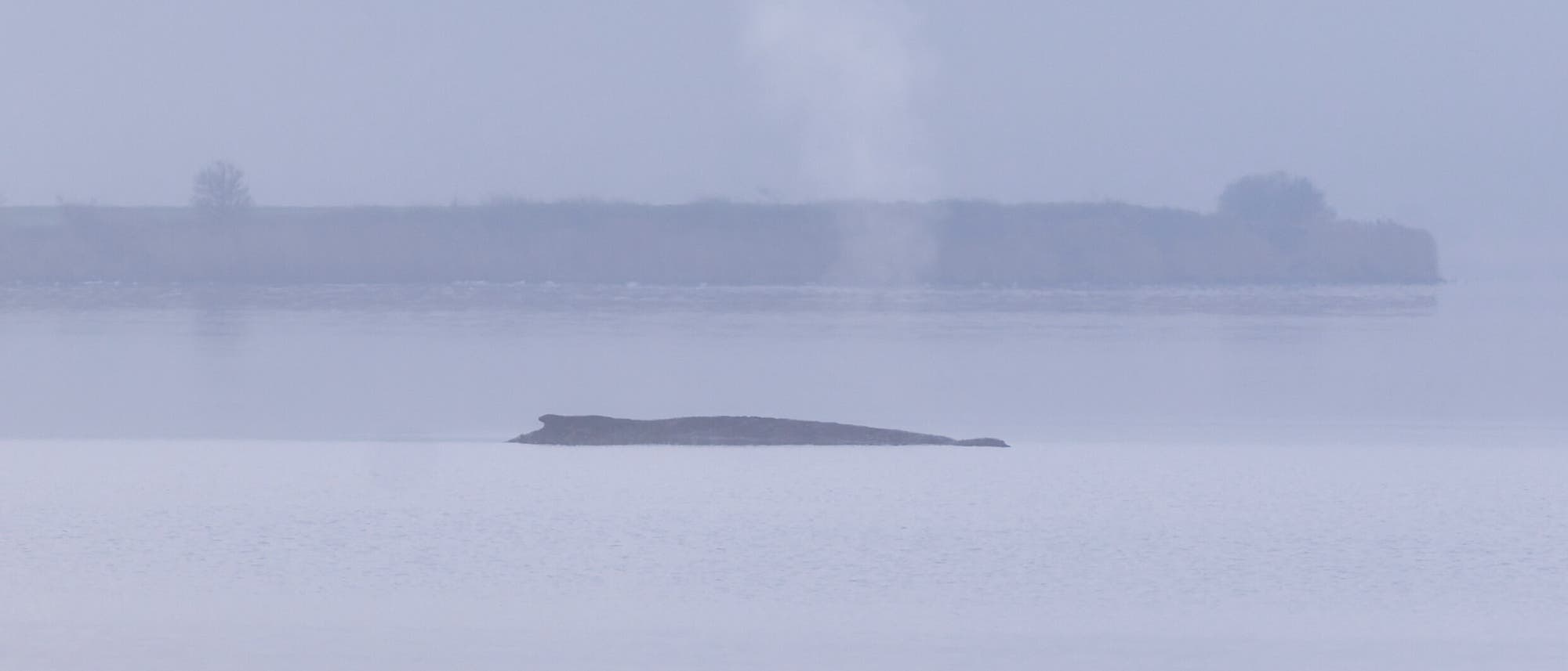 Eine neblige Landschaft mit einem Gewässer im Vordergrund. Im Hintergrund ist eine Landzunge zu sehen, aus der eine Wasserfontäne aufsteigt. Der Himmel ist grau und trüb. Der Schriftzug "dpa picture alliance" ist über das Bild gelegt. Eine neblige Landschaft mit einem Gewässer im Vordergrund. Im Hintergrund ist eine Landzunge zu sehen, aus der eine Wasserfontäne aufsteigt. Der Himmel ist grau und trüb. Der Schriftzug "dpa picture alliance" ist über das Bild gelegt.