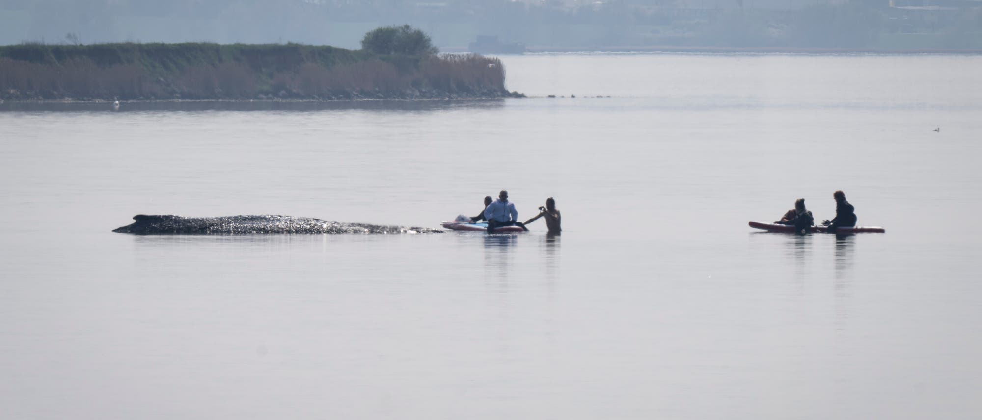 Eine Gruppe von Menschen paddelt in Kanus auf ruhigem Wasser. Im Hintergrund ist eine bewaldete Uferlinie zu sehen. Das Wasser spiegelt die Umgebung wider. Der Himmel ist leicht bew&ouml;lkt.