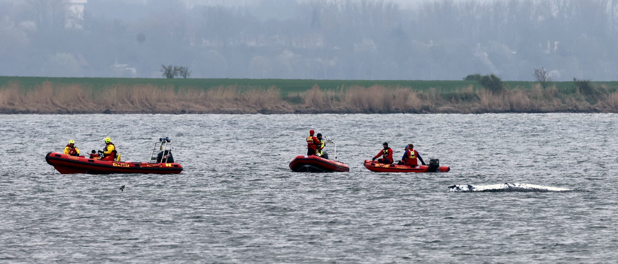 Rettungskräfte in roten Schlauchbooten auf einem Gewässer, gekleidet in gelbe und rote Schutzanzüge. Die Szene zeigt drei Boote, die auf dem Wasser treiben, während im Hintergrund eine bewaldete Uferlinie zu sehen ist. Die Personen scheinen in einer Such- oder Rettungsaktion involviert zu sein. Der Himmel ist bewölkt, und das Wasser wirkt ruhig. Rettungskräfte in roten Schlauchbooten auf einem Gewässer, gekleidet in gelbe und rote Schutzanzüge. Die Szene zeigt drei Boote, die auf dem Wasser treiben, während im Hintergrund eine bewaldete Uferlinie zu sehen ist. Die Personen scheinen in einer Such- oder Rettungsaktion involviert zu sein. Der Himmel ist bewölkt, und das Wasser wirkt ruhig.