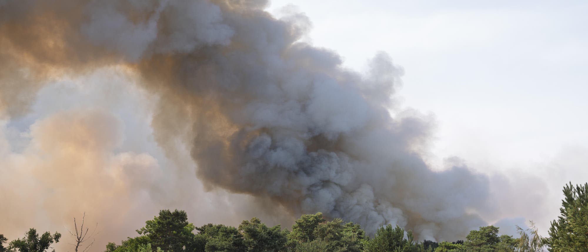 Dichter Rauch steigt über einem Wald auf, was auf einen möglichen Brand hindeutet. Der Himmel ist teilweise von Rauchschwaden bedeckt, die von grau bis dunkelbraun reichen. Im Vordergrund sind Baumkronen zu sehen. Dichter Rauch steigt über einem Wald auf, was auf einen möglichen Brand hindeutet. Der Himmel ist teilweise von Rauchschwaden bedeckt, die von grau bis dunkelbraun reichen. Im Vordergrund sind Baumkronen zu sehen.