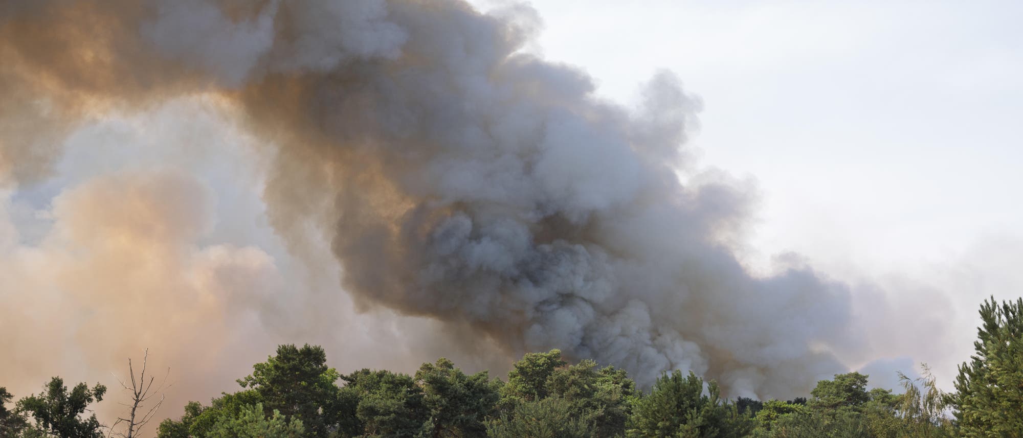 Dichter Rauch steigt über einem Wald auf, was auf einen möglichen Brand hindeutet. Der Himmel ist teilweise von Rauchschwaden bedeckt, die von grau bis dunkelbraun reichen. Im Vordergrund sind Baumkronen zu sehen. Dichter Rauch steigt über einem Wald auf, was auf einen möglichen Brand hindeutet. Der Himmel ist teilweise von Rauchschwaden bedeckt, die von grau bis dunkelbraun reichen. Im Vordergrund sind Baumkronen zu sehen.