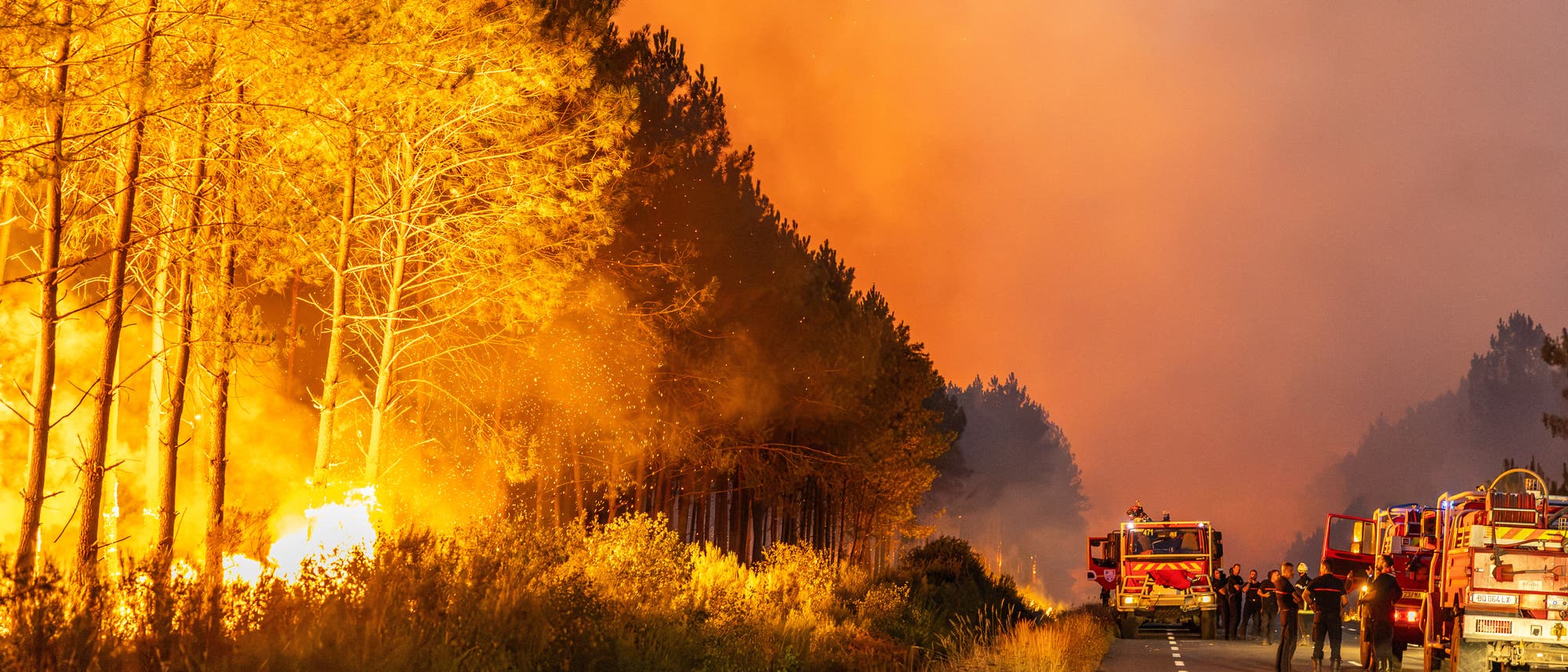 Eine Waldbrandszene mit intensiven Flammen, die B&auml;ume auf der linken Seite des Bildes erfassen. Dichte Rauchwolken steigen in den Himmel. Auf der rechten Seite stehen mehrere Feuerwehrfahrzeuge auf einer Stra&szlig;e, umgeben von Feuerwehrleuten, die den Brand bek&auml;mpfen. Die Szene ist in warmen Oranget&ouml;nen gehalten, die die Dramatik des Feuers betonen.