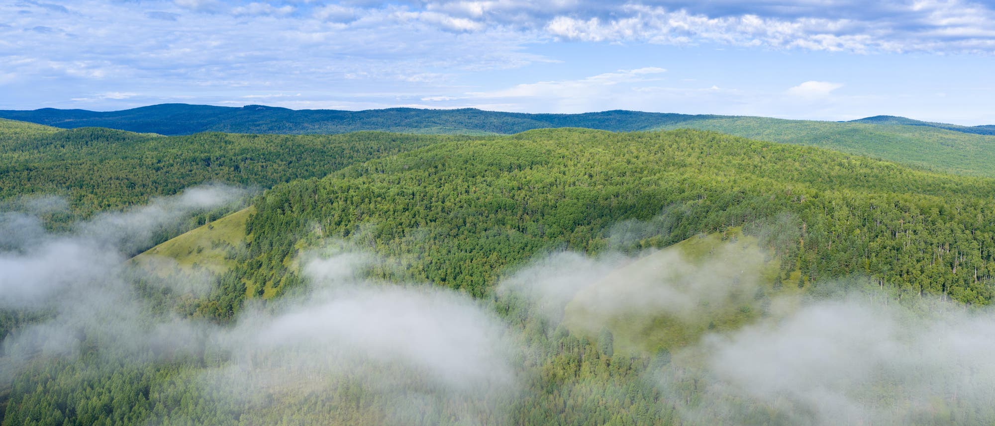 Luftaufnahme einer weitläufigen, grünen Waldlandschaft mit sanften Hügeln, die von Nebelschwaden durchzogen sind. Der Himmel ist bewölkt, mit vereinzelten blauen Stellen. Die Szene vermittelt eine ruhige und natürliche Atmosphäre. Luftaufnahme einer weitläufigen, grünen Waldlandschaft mit sanften Hügeln, die von Nebelschwaden durchzogen sind. Der Himmel ist bewölkt, mit vereinzelten blauen Stellen. Die Szene vermittelt eine ruhige und natürliche Atmosphäre.