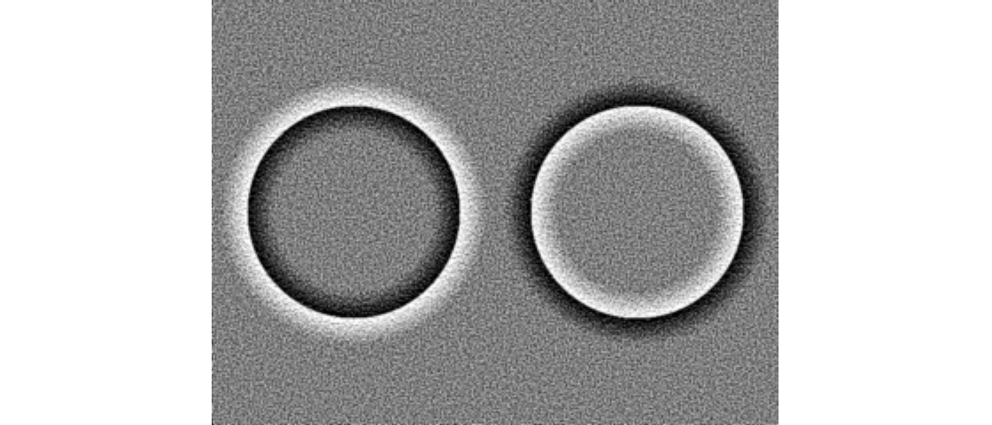 Zwei Kreise, von Grau umgeben