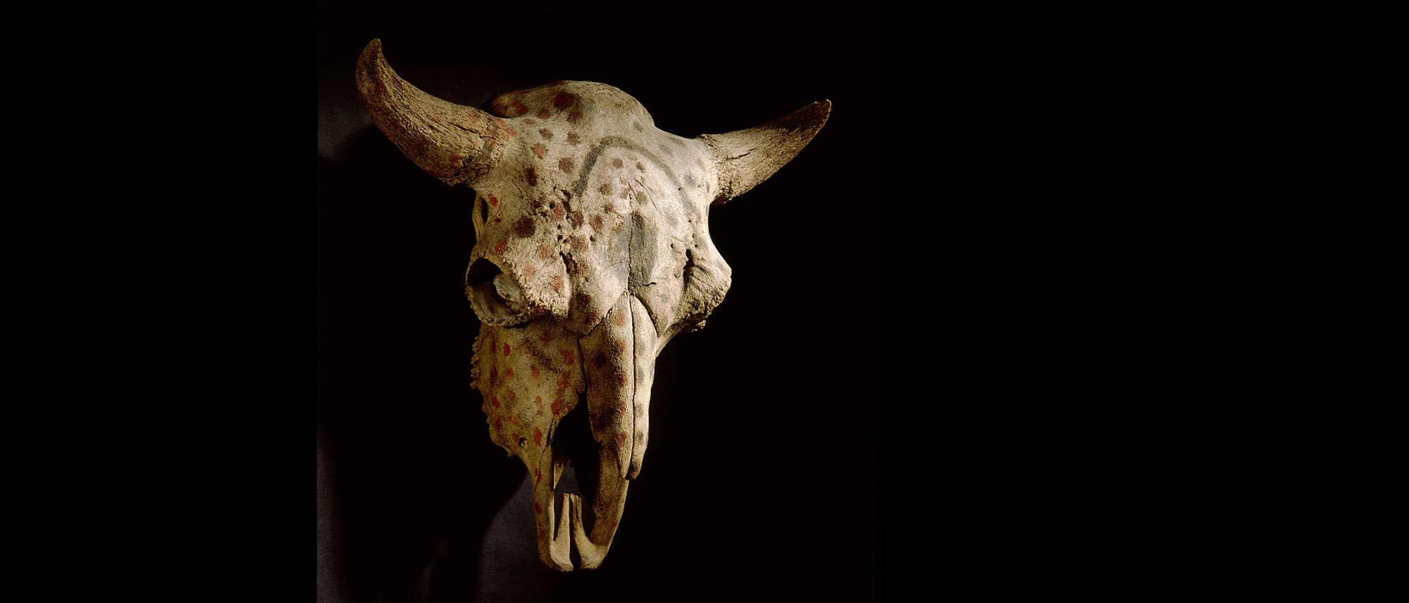 Der bemalte Büffelschädel, der heute in der ethnologischen Sammlung in Berlin aufbewahrt wird, gehörte womöglich einst der indigenen Gruppe der Blackfoot in Kanada.