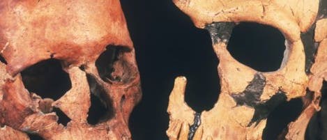 Cro-Magnon-Mensch und Neandertaler