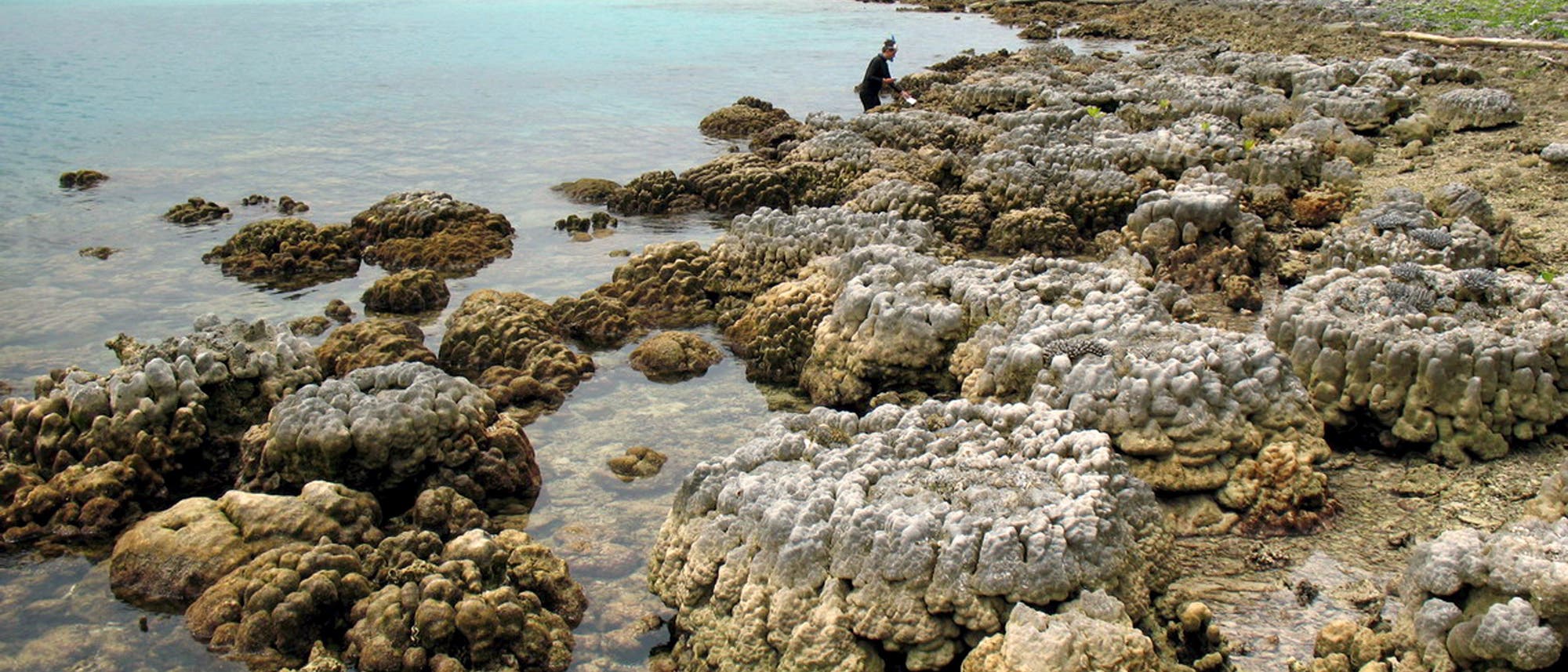 Angehobene Korallen an einem Strand der Insel Simeulue im Südwesten von Aceh, Indonesien. (Archivbild)