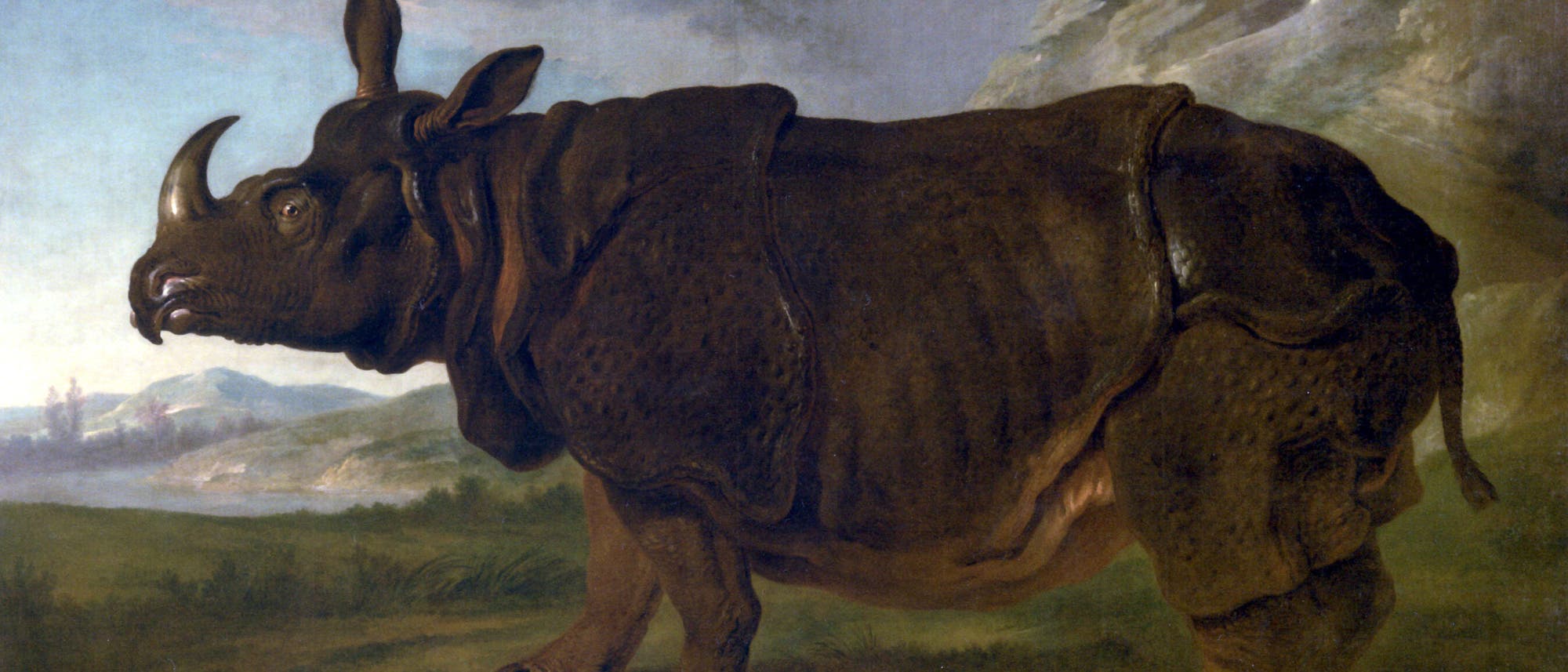 Ein Nashorn steht in einer malerischen Landschaft mit Bergen im Hintergrund. Das Tier ist detailliert dargestellt, mit einer dicken, faltigen Haut und einem markanten Horn. Der Himmel ist leicht bewölkt, und die Szene vermittelt eine ruhige, natürliche Umgebung. Ein Nashorn steht in einer malerischen Landschaft mit Bergen im Hintergrund. Das Tier ist detailliert dargestellt, mit einer dicken, faltigen Haut und einem markanten Horn. Der Himmel ist leicht bewölkt, und die Szene vermittelt eine ruhige, natürliche Umgebung.