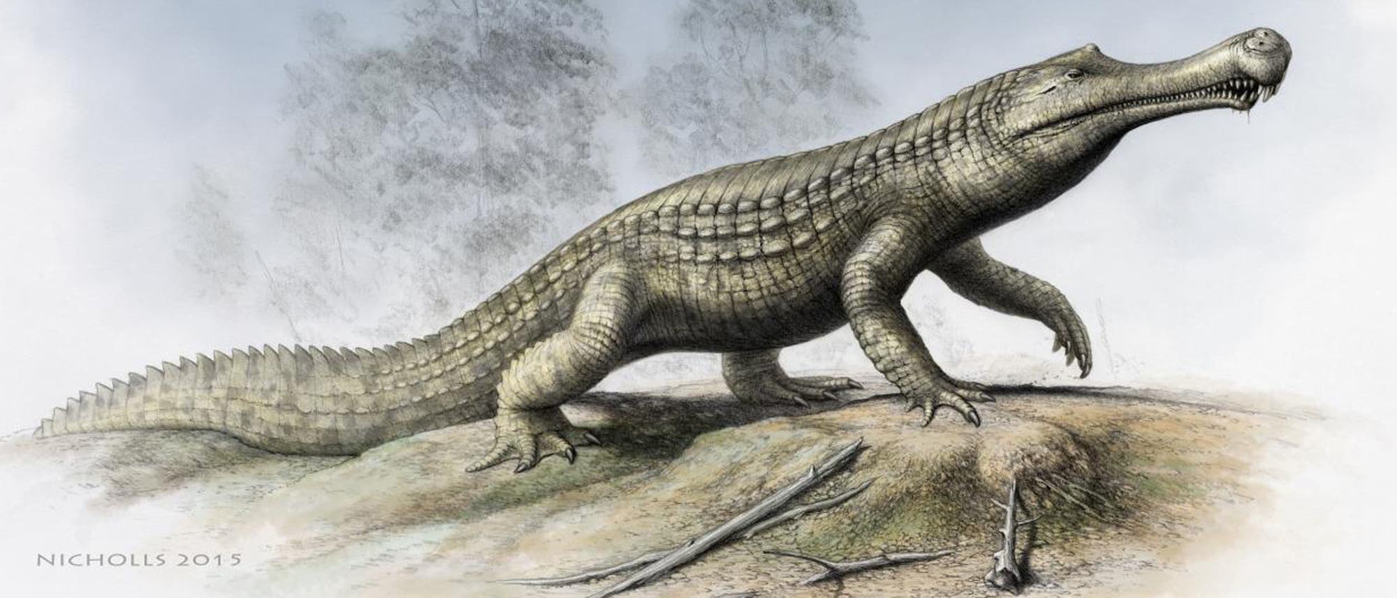 Sarcosuchus imperator - das Superkrokodil aus Afrika