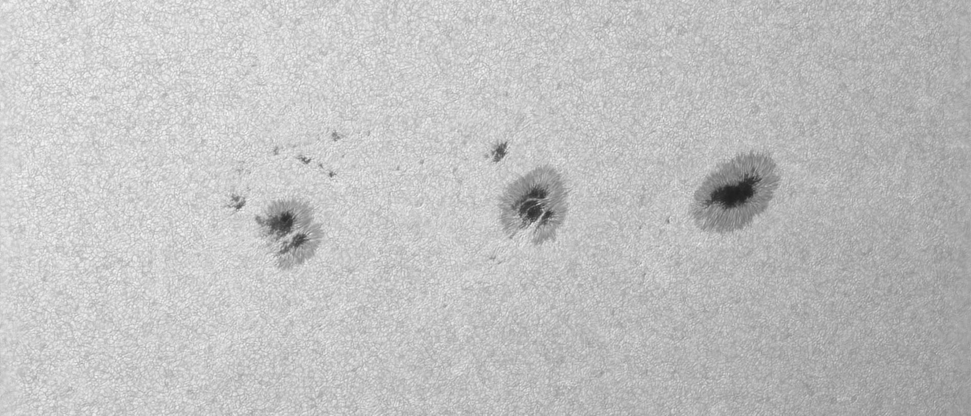 Eine Nahaufnahme der Sonnenoberfläche zeigt mehrere dunkle Sonnenflecken auf der körnigen Textur der Photosphäre. Die Sonnenflecken sind unregelmäßig geformt und variieren in Größe, wobei sie von helleren Bereichen umgeben sind. Diese Flecken sind kühler als die umliegenden Regionen und erscheinen daher dunkler. Das Bild veranschaulicht die dynamische Aktivität der Sonne und die Struktur der Sonnenflecken. Eine Nahaufnahme der Sonnenoberfläche zeigt mehrere dunkle Sonnenflecken auf der körnigen Textur der Photosphäre. Die Sonnenflecken sind unregelmäßig geformt und variieren in Größe, wobei sie von helleren Bereichen umgeben sind. Diese Flecken sind kühler als die umliegenden Regionen und erscheinen daher dunkler. Das Bild veranschaulicht die dynamische Aktivität der Sonne und die Struktur der Sonnenflecken.