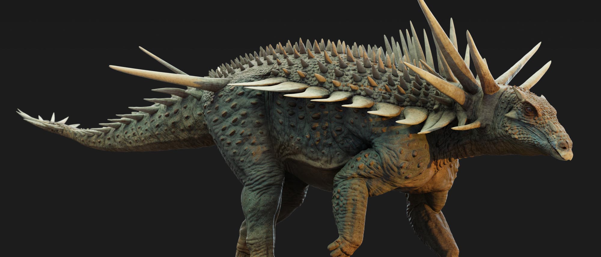 Eine 3-D-Darstellung eines Dinosauriers mit einem stacheligen R&uuml;cken und langen H&ouml;rnern, die aus dem Kopf ragen. Der K&ouml;rper ist mit einer rauen, schuppigen Haut bedeckt, die in verschiedenen Gr&uuml;nt&ouml;nen gehalten ist. Der Dinosaurier steht auf vier kr&auml;ftigen Beinen und hat einen langen, mit Stacheln besetzten Schwanz. Der Hintergrund ist dunkel, was den Fokus auf die detaillierte Textur und Struktur des Dinosauriers lenkt.