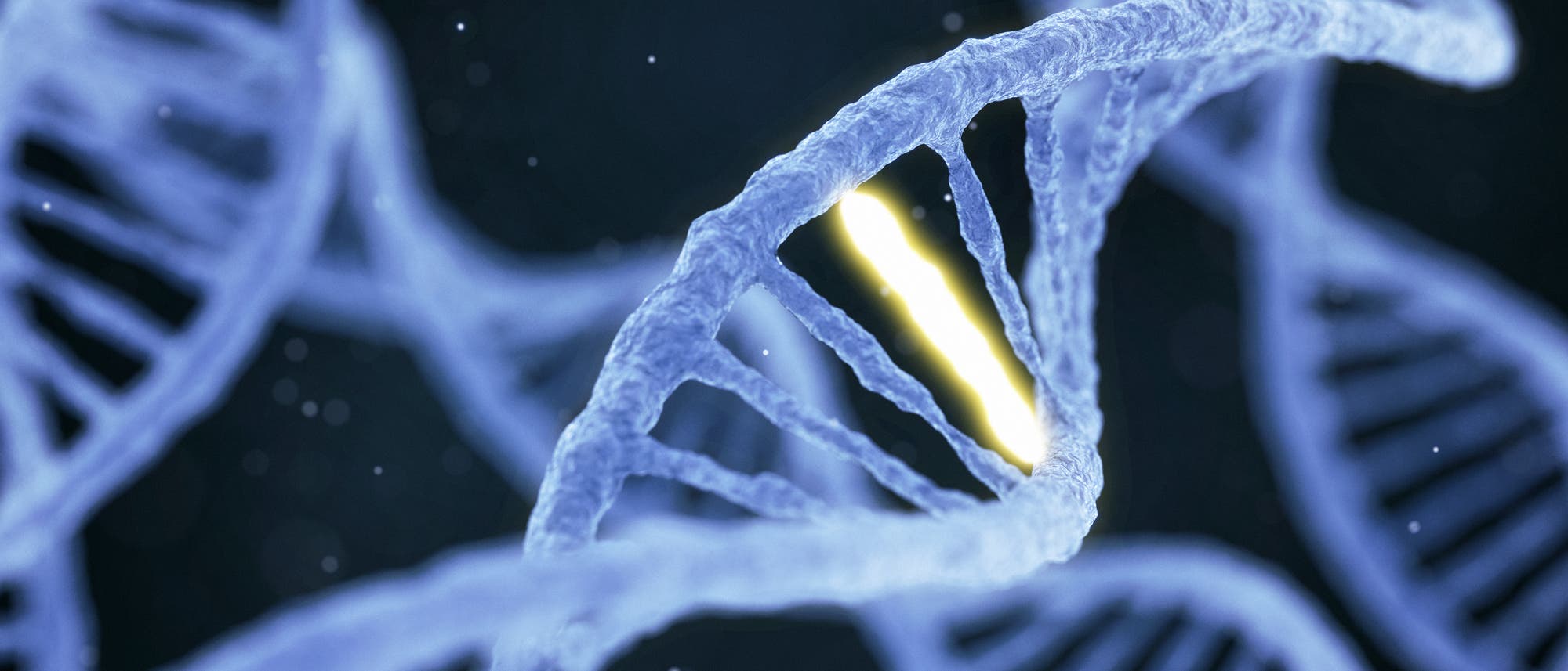Eine Nahaufnahme einer blauen DNA-Doppelhelix vor einem dunklen Hintergrund. Ein Abschnitt der Helix ist hervorgehoben und leuchtet in einem hellen Gelbton, was auf eine besondere Bedeutung oder Veränderung hinweist. Es sind keine Menschen im Bild. Das Bild vermittelt ein wissenschaftliches Thema, möglicherweise Genetik oder Biotechnologie.