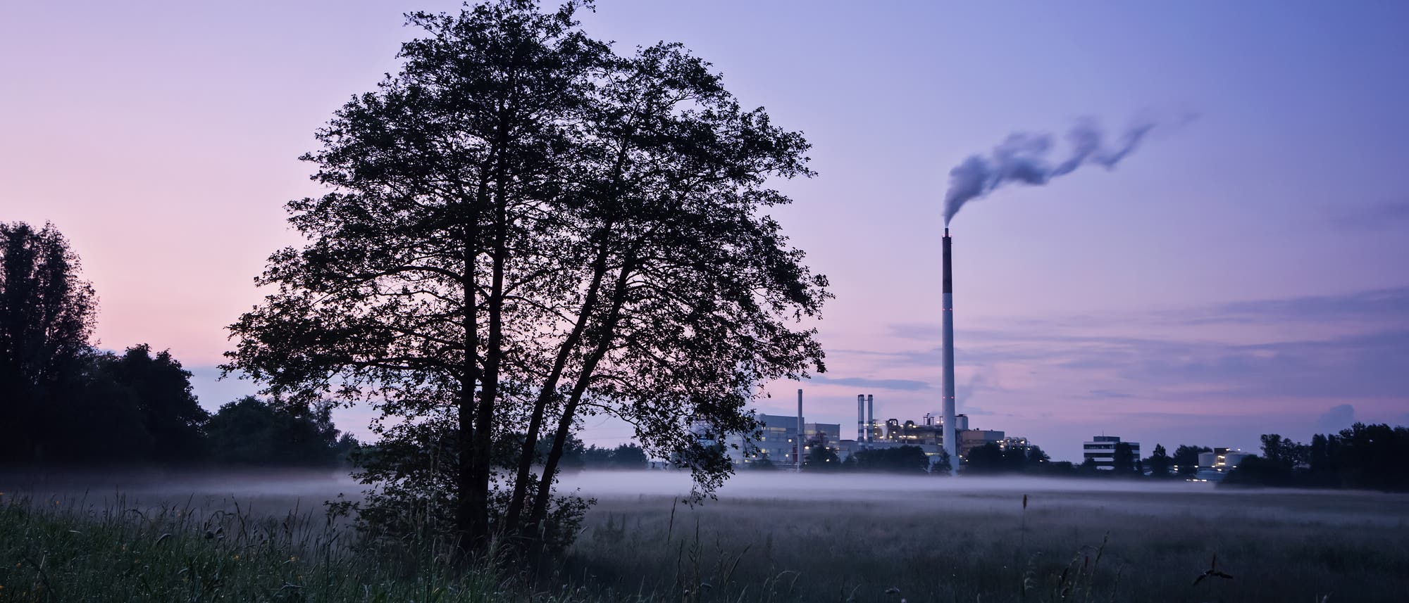 Links im Vordergrund ein Baum, im Hintergrund ein dampfender Schlot, das alles vor einem abenddämmerigen Himmel. Links im Vordergrund ein Baum, im Hintergrund ein dampfender Schlot, das alles vor einem abenddämmerigen Himmel.