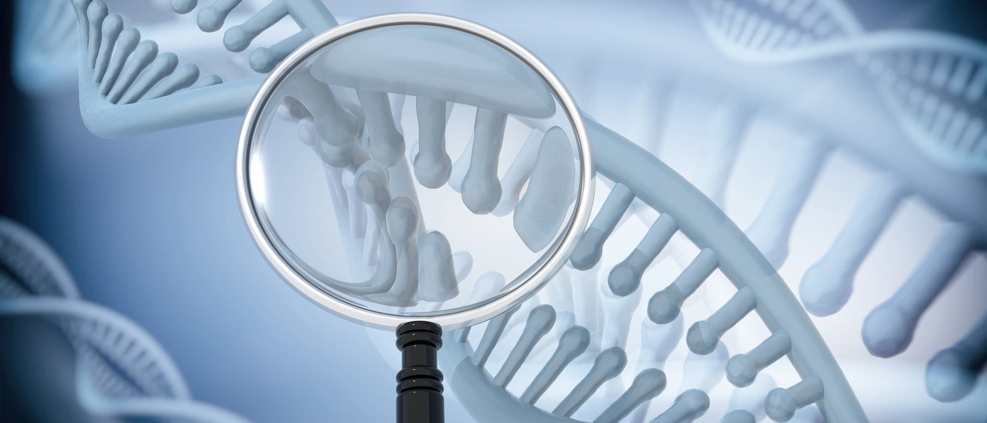 Eine stilisierte DNA-Helix unter einer stilisierten Lupe