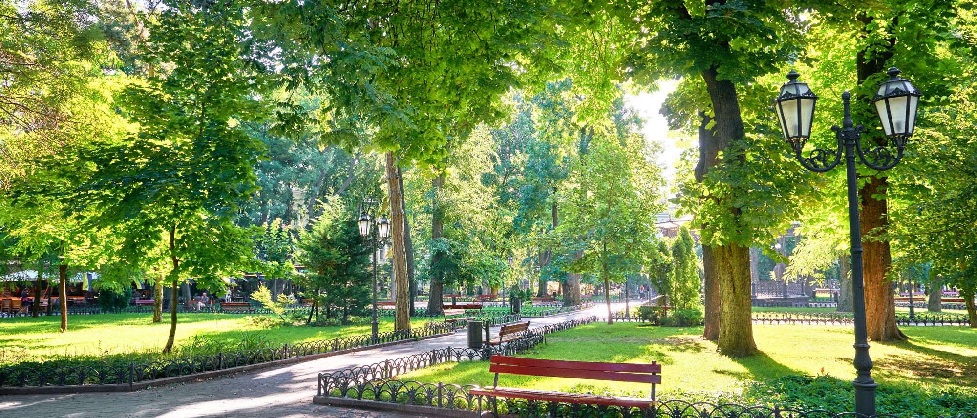 Ein sonniger Park mit &uuml;ppigem Gr&uuml;n, B&auml;umen und gepflegten Wegen. Im Vordergrund steht eine rote Parkbank, umgeben von Laternen. Die Szene strahlt Ruhe und Naturverbundenheit aus.