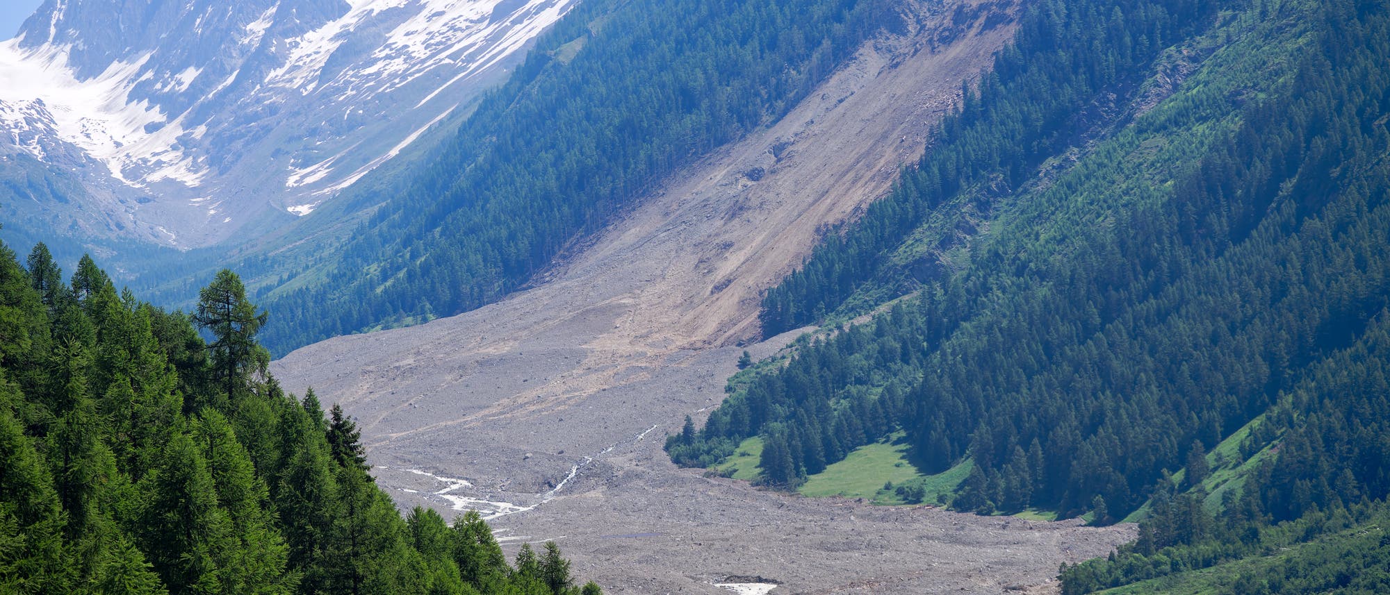 Berglandschaft mit einem großen Erdrutsch, der einen Hang hinunter in ein bewaldetes Tal fließt. Im Hintergrund sind schneebedeckte Gipfel zu sehen. Der Erdrutsch hat eine breite Schneise in den Wald geschlagen, während im Vordergrund grüne Bäume und Wiesen sichtbar sind. Berglandschaft mit einem großen Erdrutsch, der einen Hang hinunter in ein bewaldetes Tal fließt. Im Hintergrund sind schneebedeckte Gipfel zu sehen. Der Erdrutsch hat eine breite Schneise in den Wald geschlagen, während im Vordergrund grüne Bäume und Wiesen sichtbar sind.