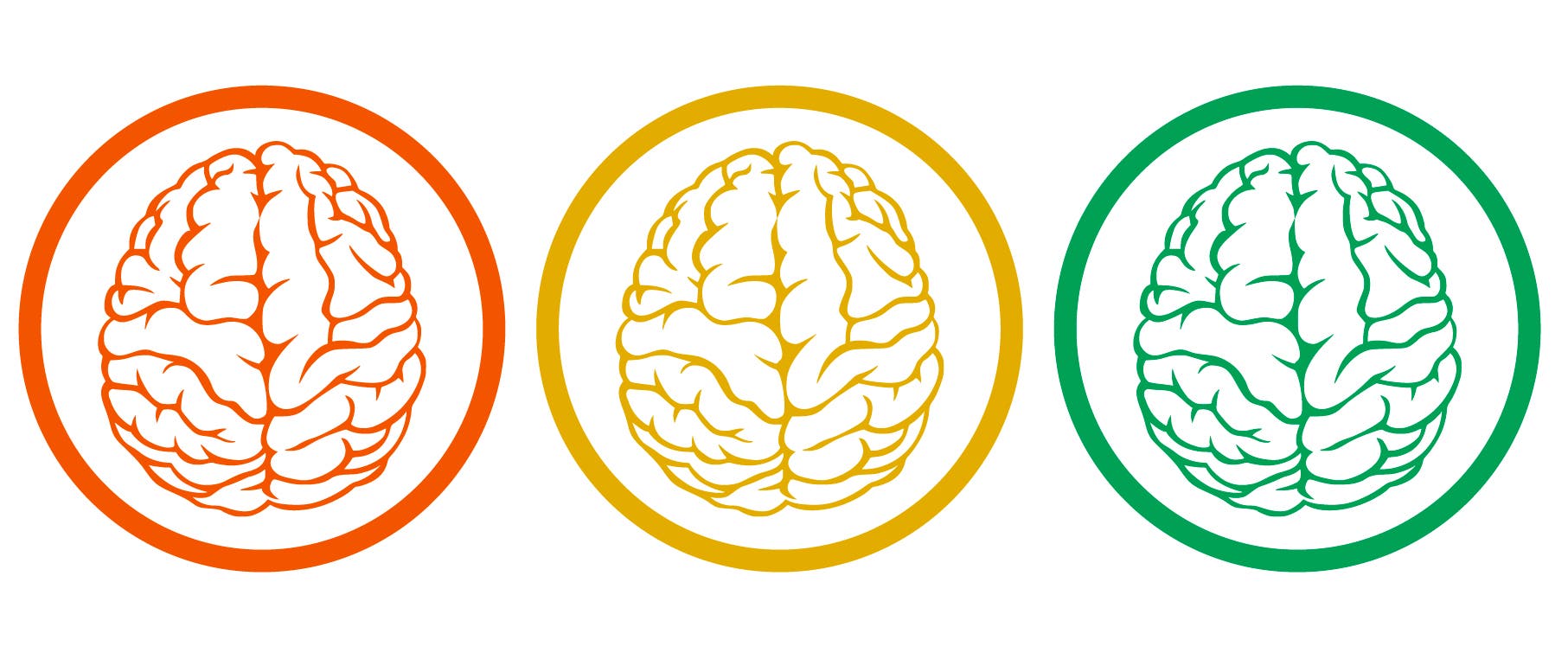 Drei Gehirne, in den Farben rot, gelb und grün, sind jeweils von einem Kreis umschlossen.
