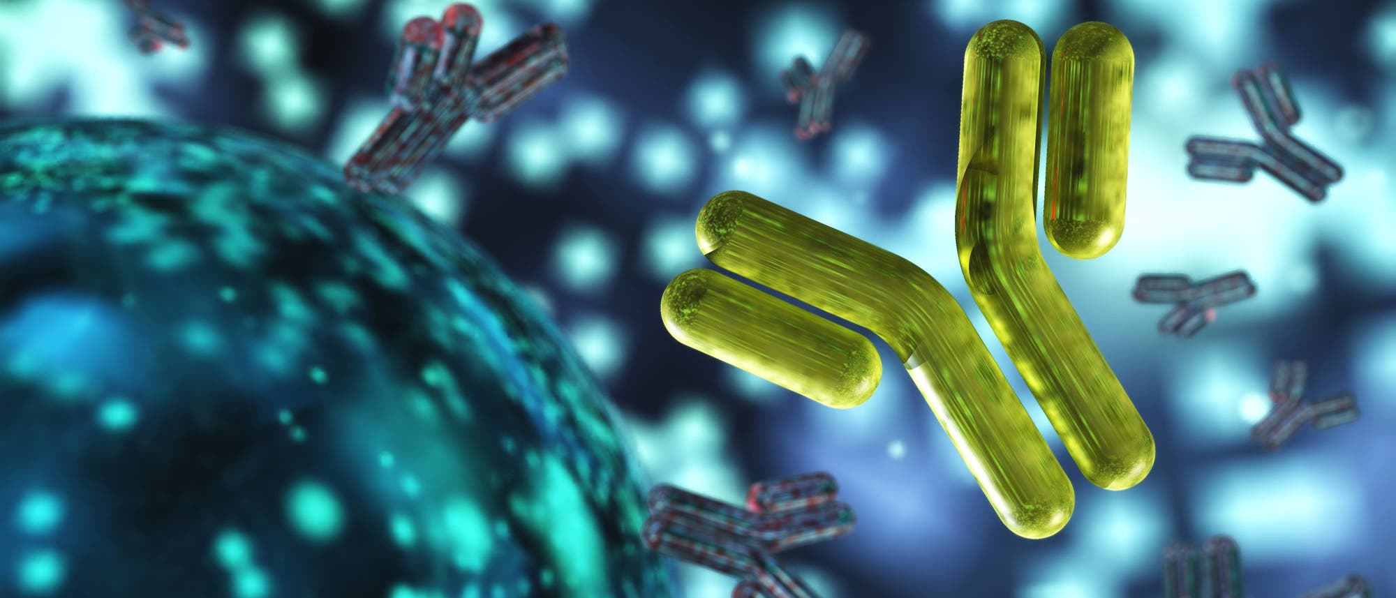 3D-Illustration Antikörper