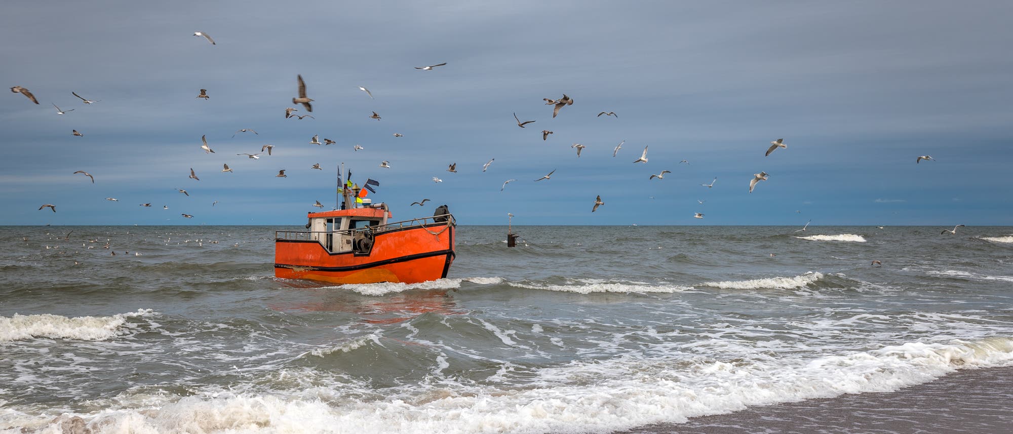 Fischer in der Ostsee sollen künftig noch weniger Hering fangen dürfen.