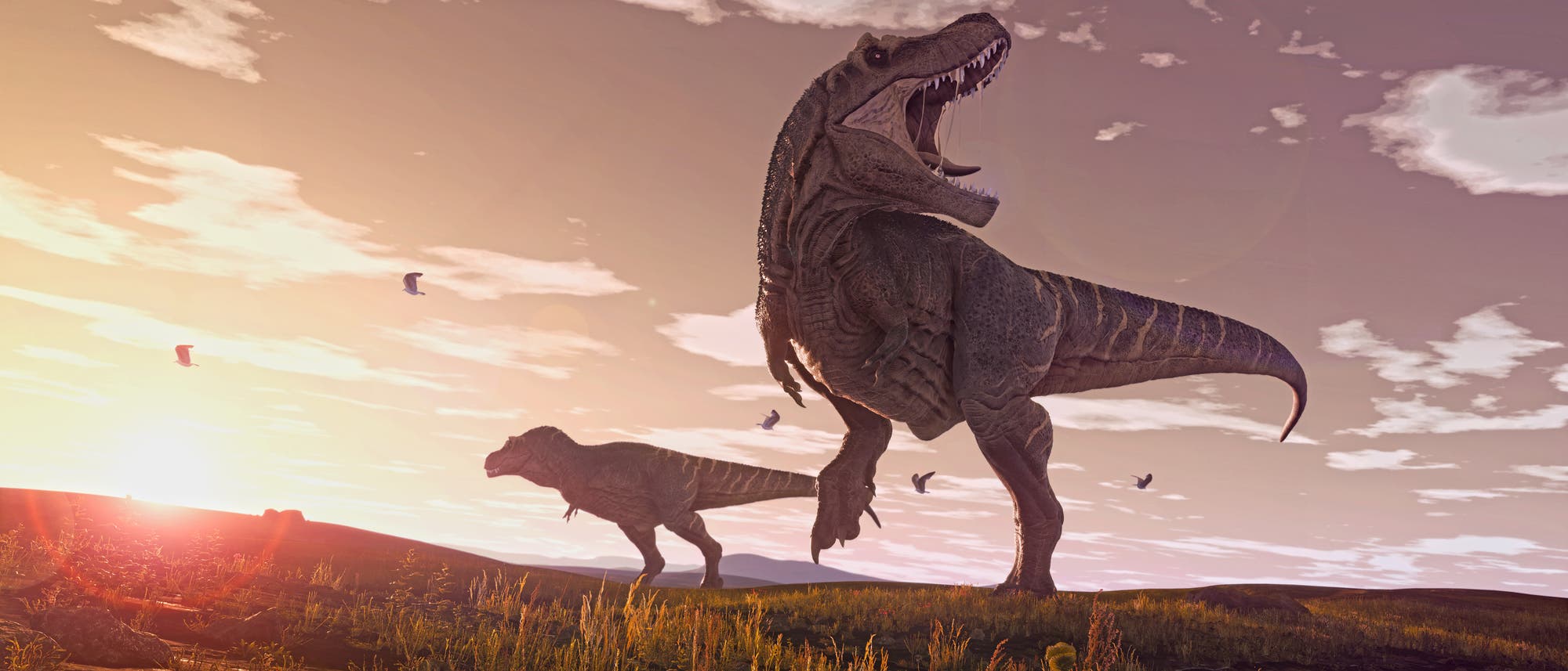 Eine 3D-Darstellung von zwei Dinosauriern in einer pr&auml;historischen Landschaft bei Sonnenuntergang. Der Himmel ist mit Wolken bedeckt, und V&ouml;gel fliegen im Hintergrund. Die Dinosaurier stehen auf einer grasbewachsenen Ebene, die von der untergehenden Sonne beleuchtet wird.