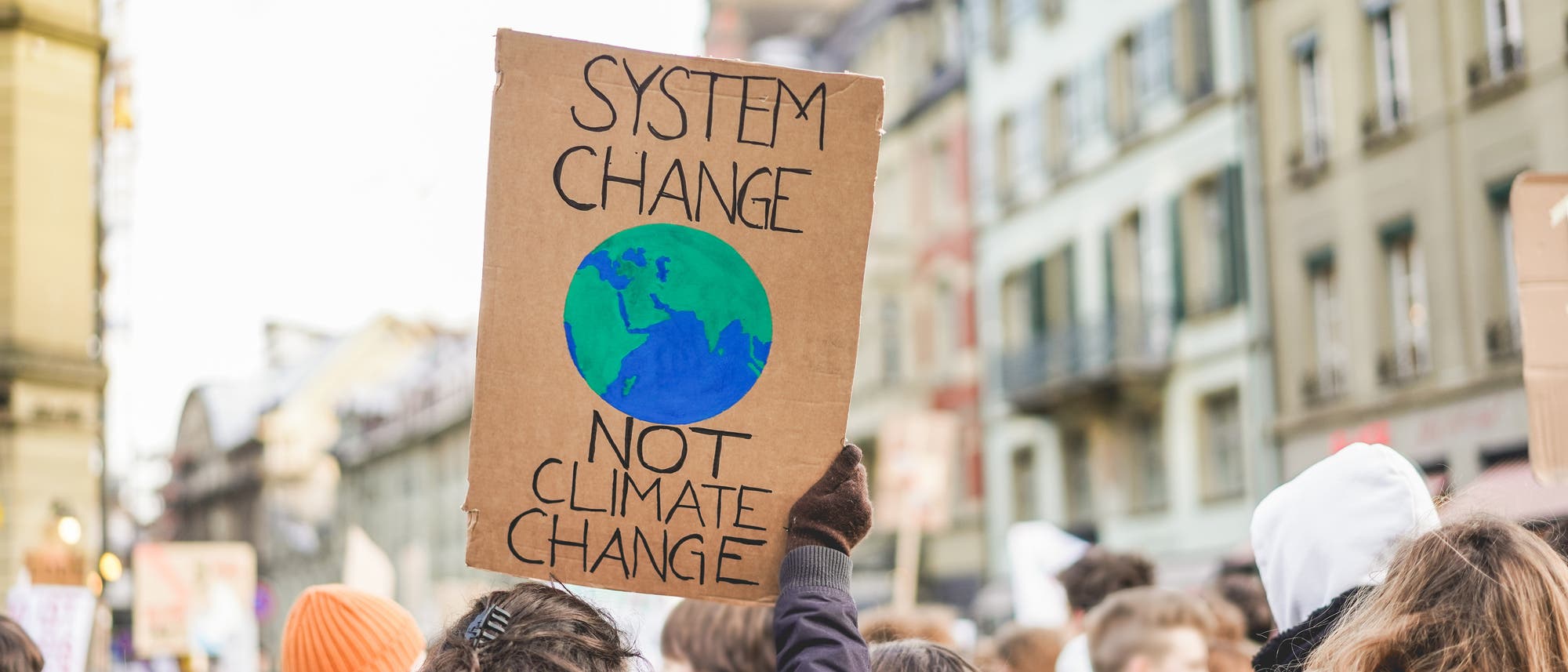 Klimademo – viele Menschen sind von hinten zu sehen, eine Frau hält ein Schild hoch: System change – not climate change.