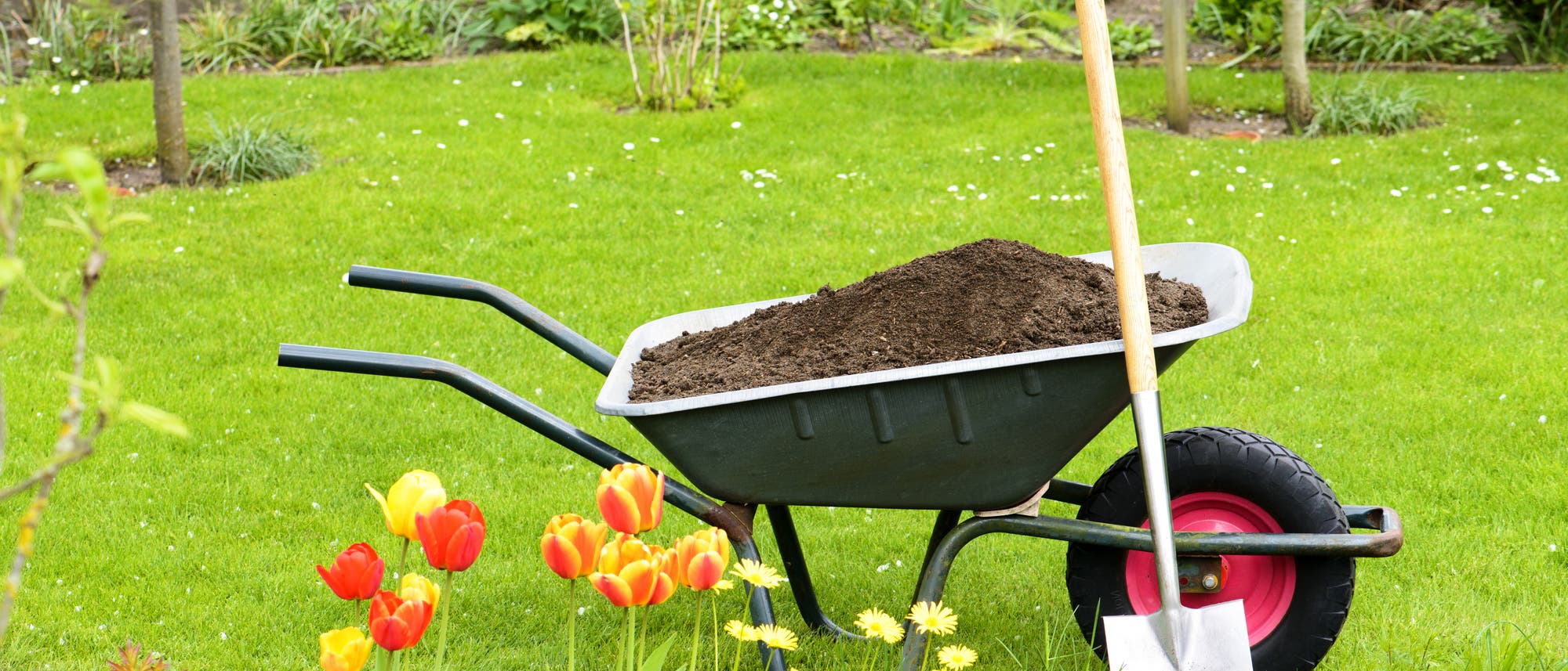 In einem gepflegt aussehenden Garten steht eine Schubkarre mit einem angelehnten Spaten, davor Tulpen und andere Blumen. In einem gepflegt aussehenden Garten steht eine Schubkarre mit einem angelehnten Spaten, davor Tulpen und andere Blumen.