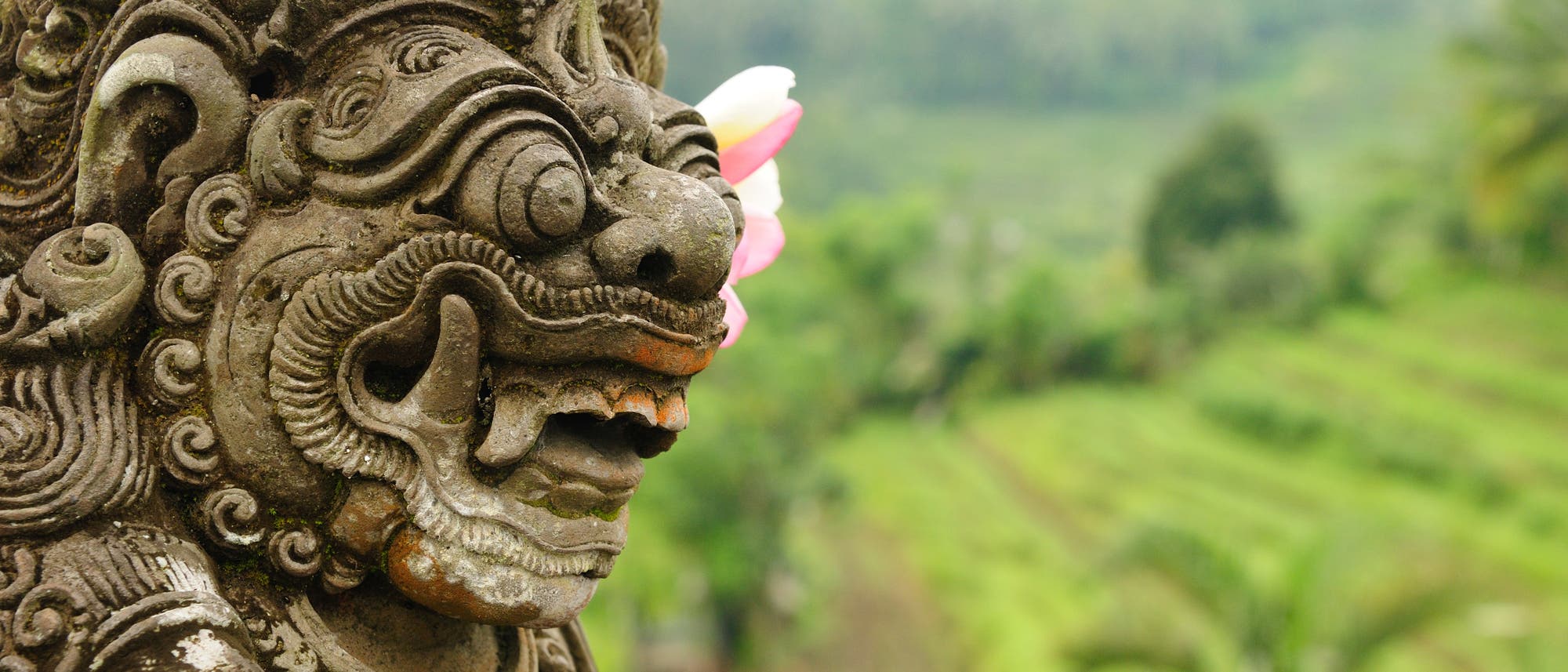 Ansicht Bali: links eine Statue im Vordergrund, im Hintergrund viel sattes Grün