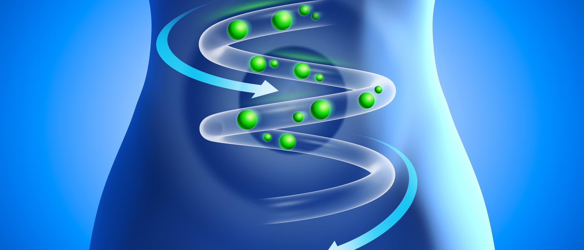 vereinfachte Darstellung der Verdauung in Form einer Spirale in einem weiblichen Körper