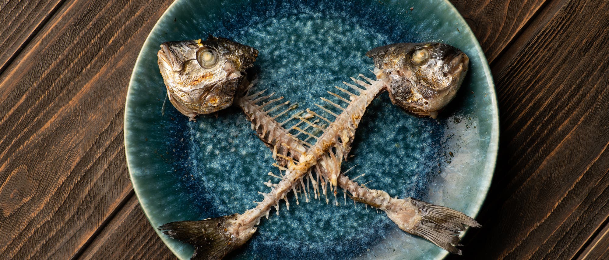 Ein Teller mit zwei gekreuzten Fischskeletten, einschlie&szlig;lich K&ouml;pfen und Schw&auml;nzen, auf einer dunkelblauen Keramikplatte. Der Teller steht auf einem Holztisch.