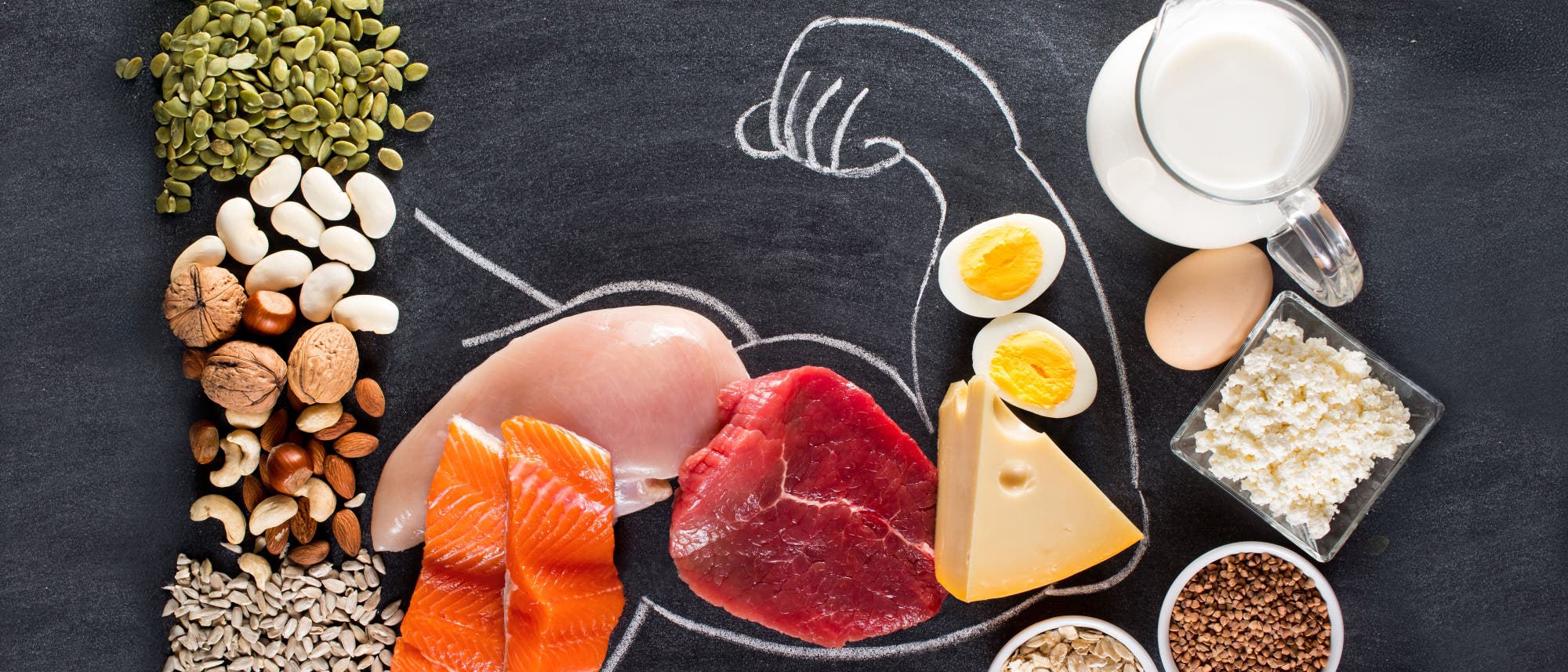 Eine Tafelzeichnung eines Bizepses, umgeben von proteinreichen Lebensmitteln. Zu sehen sind Lachs, H&auml;hnchenbrust, Rindfleisch, K&auml;se, gekochte Eier, N&uuml;sse, Samen, Bohnen, Haferflocken, H&uuml;ttenk&auml;se und ein Krug Milch. Die Anordnung symbolisiert die Bedeutung von Proteinen f&uuml;r den Muskelaufbau.