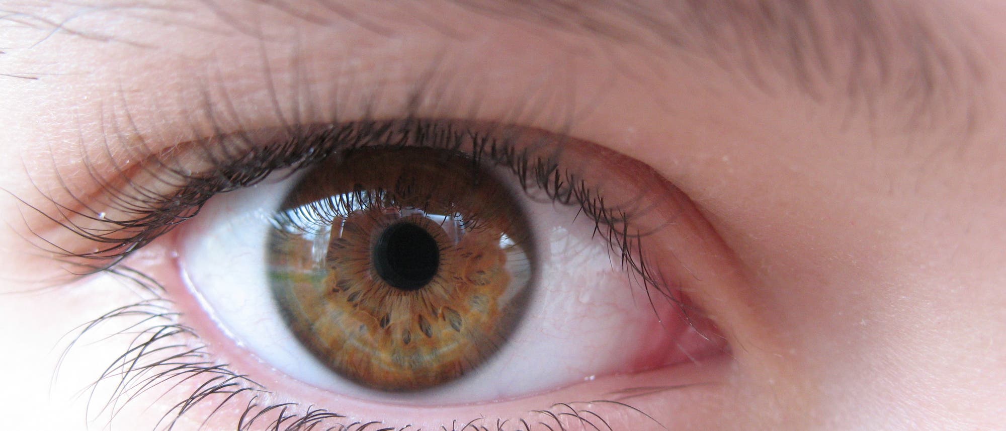 Das braun-grüne Auge einer Frau in Nahaufnahme