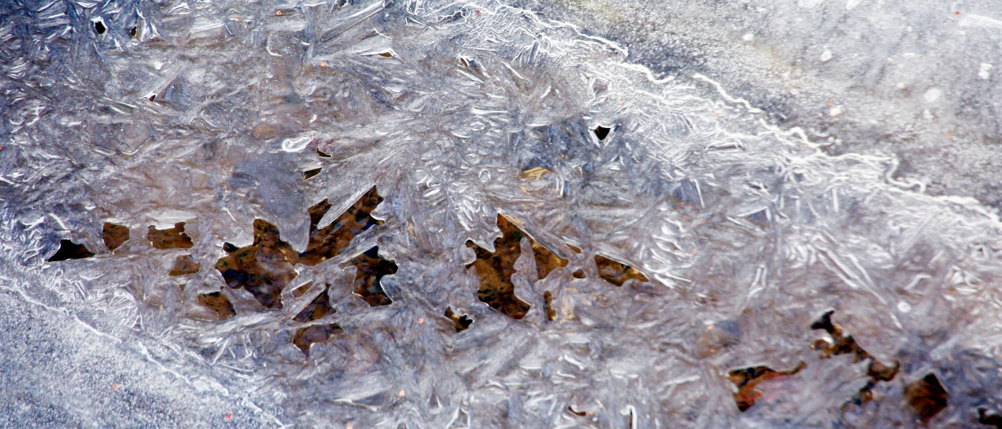 Eine Nahaufnahme von gefrorenem Eis auf einer Oberfläche, das komplexe, kristalline Muster bildet. Die Eisstruktur zeigt verschiedene Formen und Texturen, die durchscheinend und schimmernd wirken. Darunter sind dunklere Bereiche sichtbar, die möglicherweise Erde oder Wasser darstellen. Die Szene vermittelt ein Gefühl von Kälte und natürlicher Schönheit. Eine Nahaufnahme von gefrorenem Eis auf einer Oberfläche, das komplexe, kristalline Muster bildet. Die Eisstruktur zeigt verschiedene Formen und Texturen, die durchscheinend und schimmernd wirken. Darunter sind dunklere Bereiche sichtbar, die möglicherweise Erde oder Wasser darstellen. Die Szene vermittelt ein Gefühl von Kälte und natürlicher Schönheit.