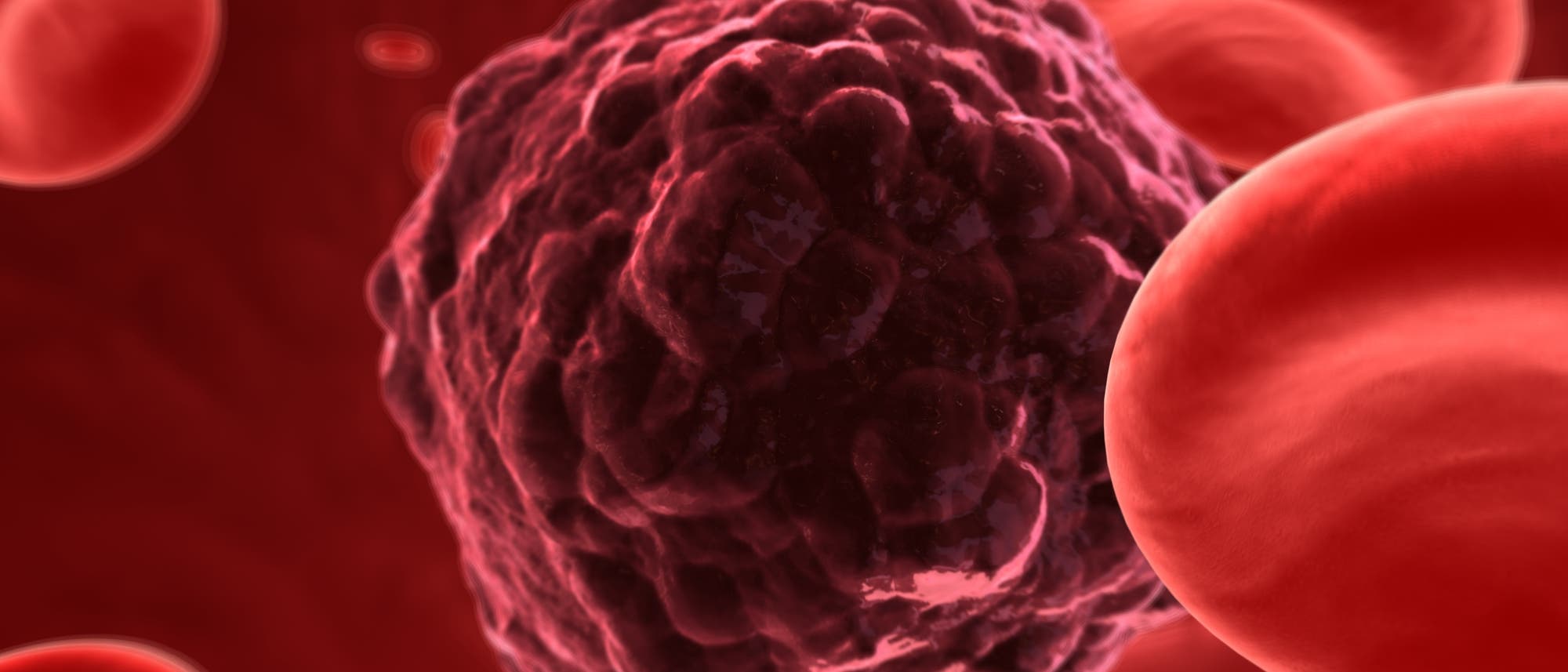 Nanomagneten im Kampf gegen Krebs