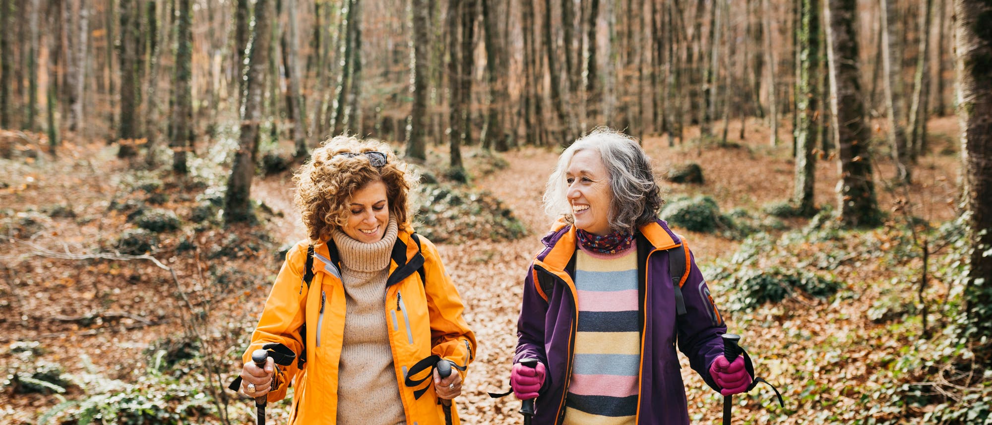 Zwei Personen wandern lächelnd durch einen herbstlichen Wald. Sie tragen bunte Jacken und halten Wanderstöcke. Der Boden ist mit Laub bedeckt, und die Bäume sind hoch und kahl. Die Szene vermittelt eine fröhliche und entspannte Atmosphäre.