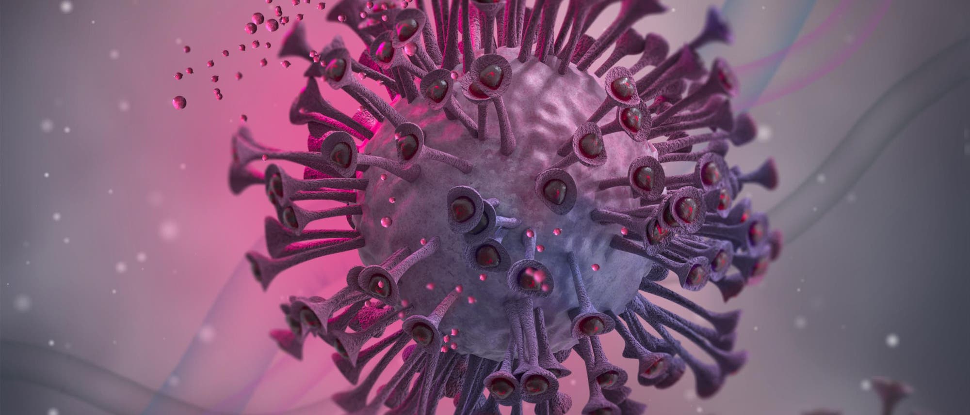 Eine wissenschaftliche Illustration eines Viruspartikels, das in 3D dargestellt ist. Die kugelf&ouml;rmige Struktur ist mit stachelartigen Proteinen bedeckt, die aus der Oberfl&auml;che herausragen. Der Hintergrund ist in Rosa- und Graut&ouml;nen gehalten, was die Details des Virus hervorhebt. Die Abbildung zeigt die komplexe Struktur des Virus und dient der Veranschaulichung seiner &auml;u&szlig;eren Merkmale.