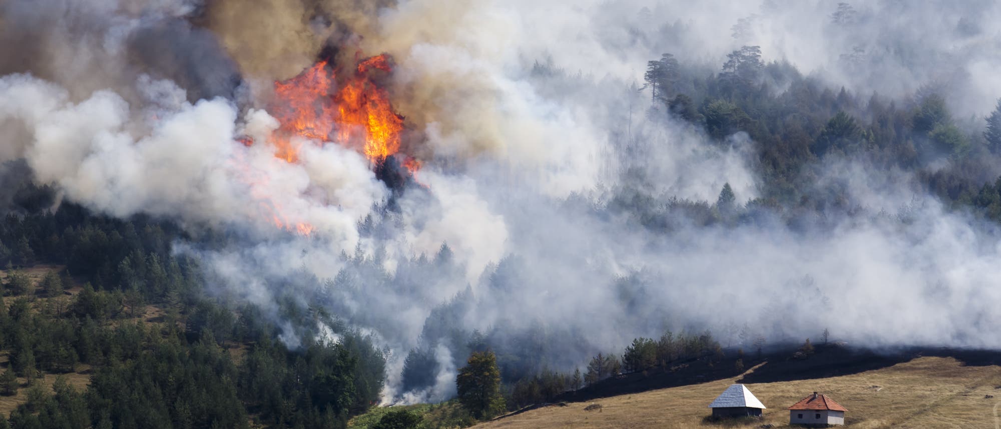 Ein Feuer an einem bewaldeten Hang erzeugt sehr viel Rauch.
