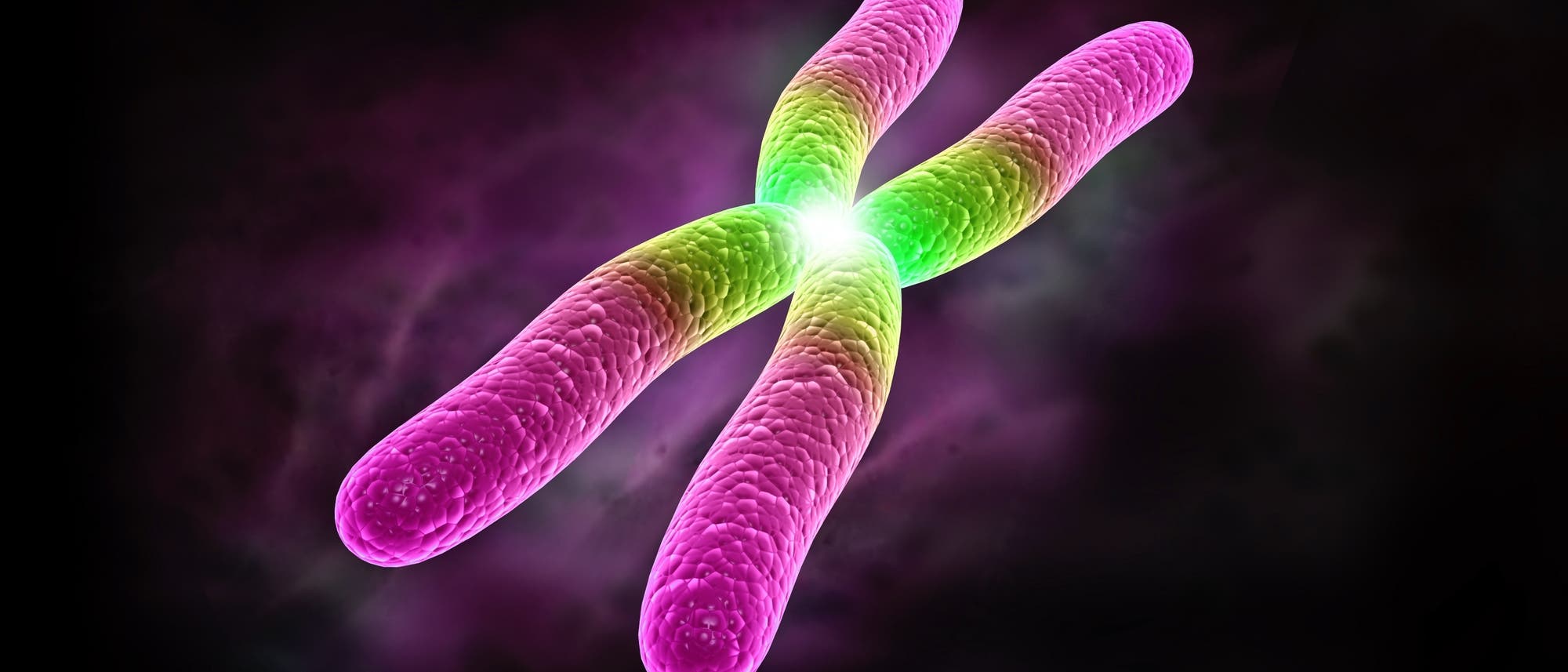 Illustration eines X-Chromosoms mit farblicher Markierung