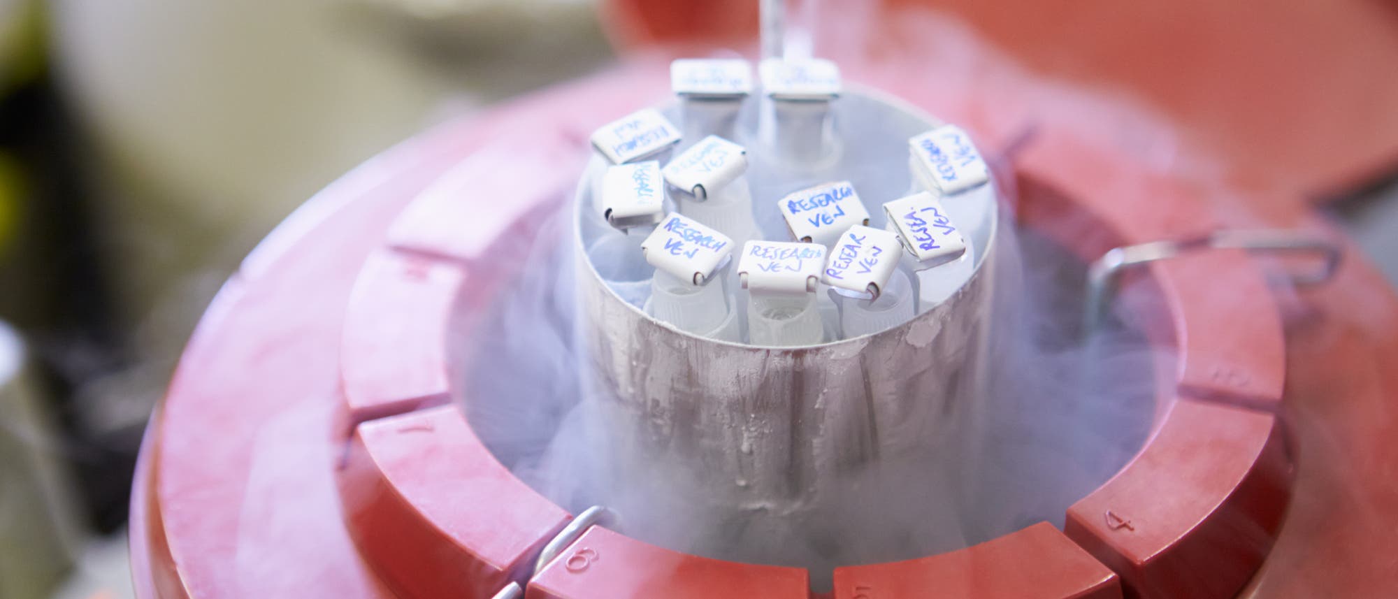 Ein Kryotank einer Samenbank mit ge&ouml;ffnetem Deckel zeigt mehrere beschriftete Probenr&ouml;hrchen, die in einem runden Halter angeordnet sind. Es handelt sich um Samenspenden. Aus dem Tank steigt Nebel auf, was auf die niedrige Temperatur hinweist. Die R&ouml;hrchen sind beschriftet. Der Tank hat eine rote Umrandung mit nummerierten Abschnitten.