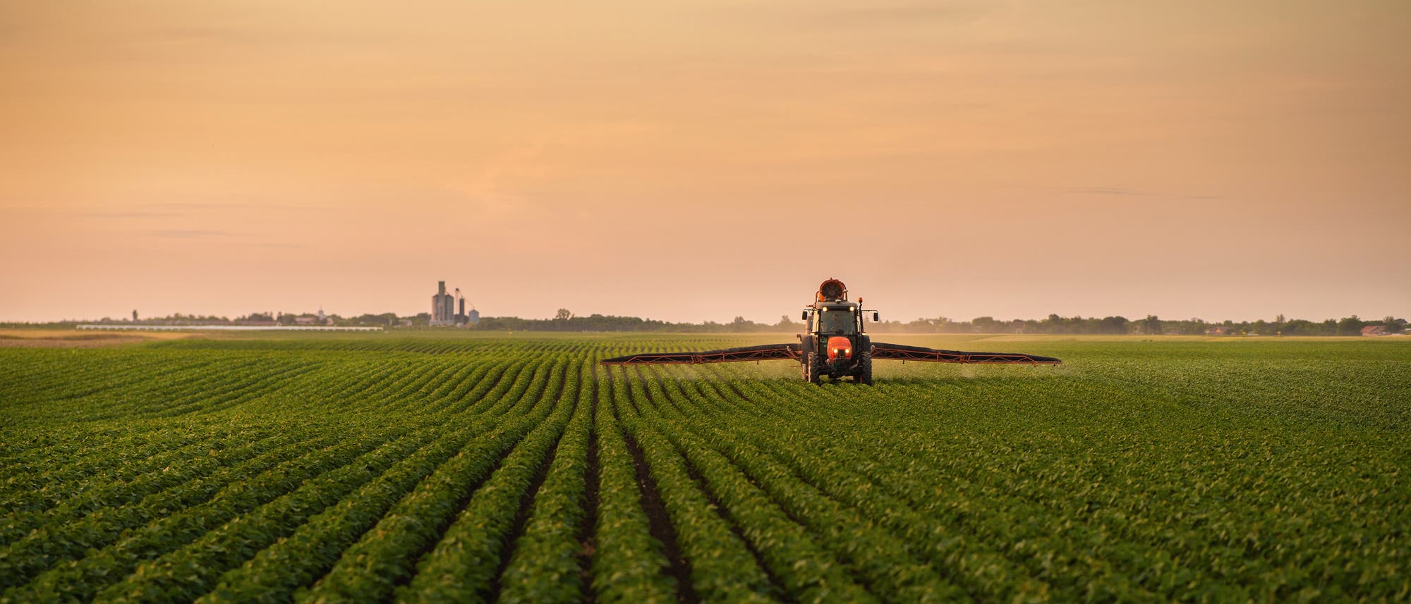 Ein Traktor versprüht großflächig Pestizide auf einem Sojafeld