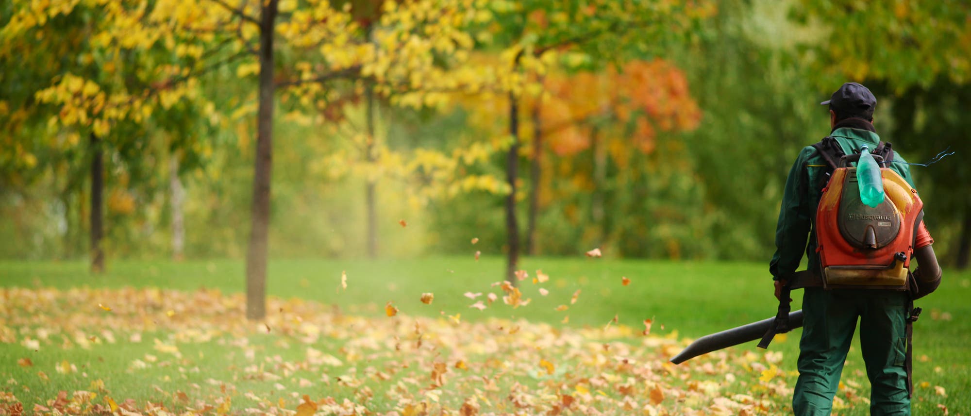 Ein Mann mit einem Laubbläser steht in einem Park und bläst Laub von einer Wiese.